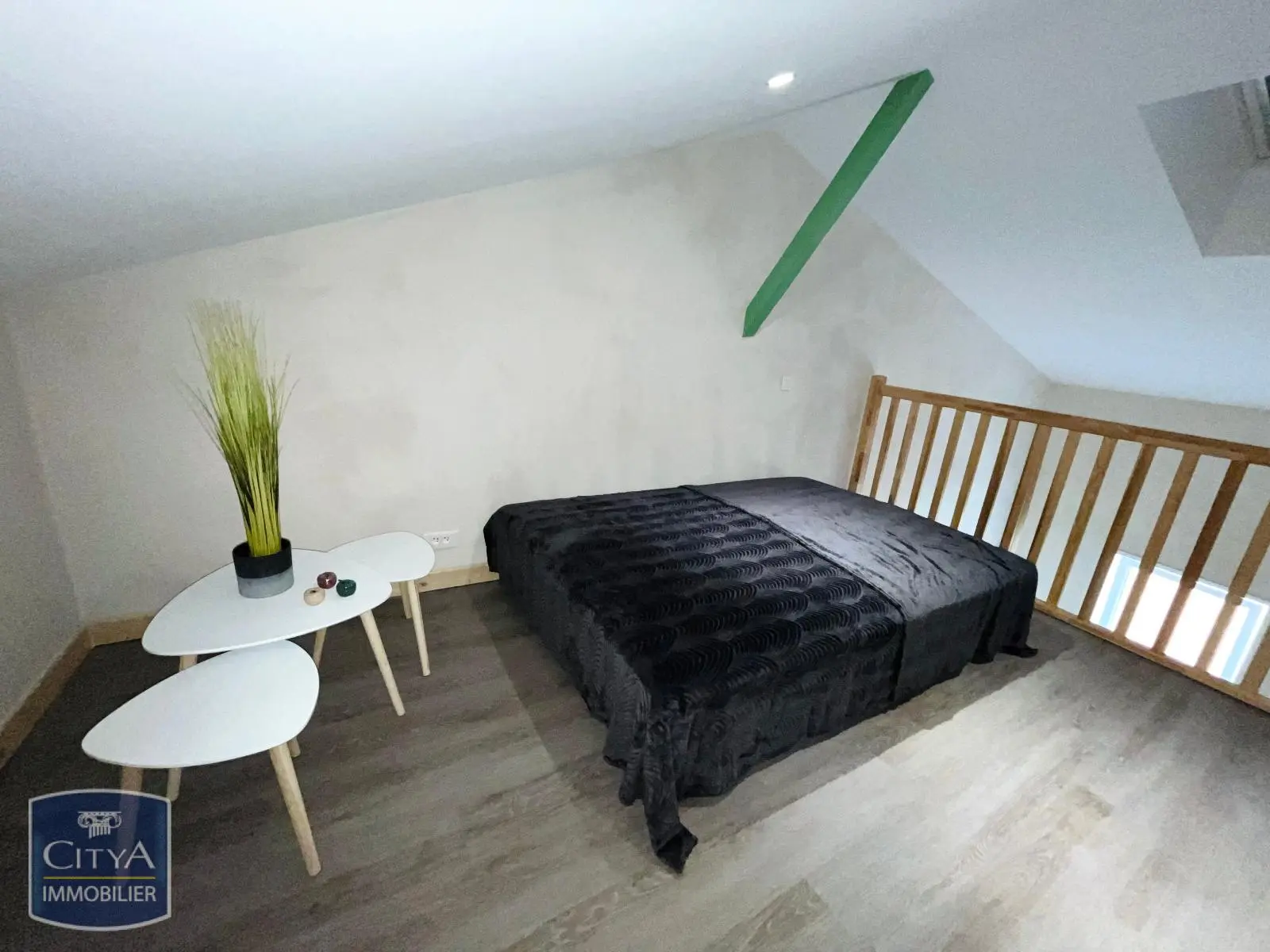 Photo 3 appartement Roanne