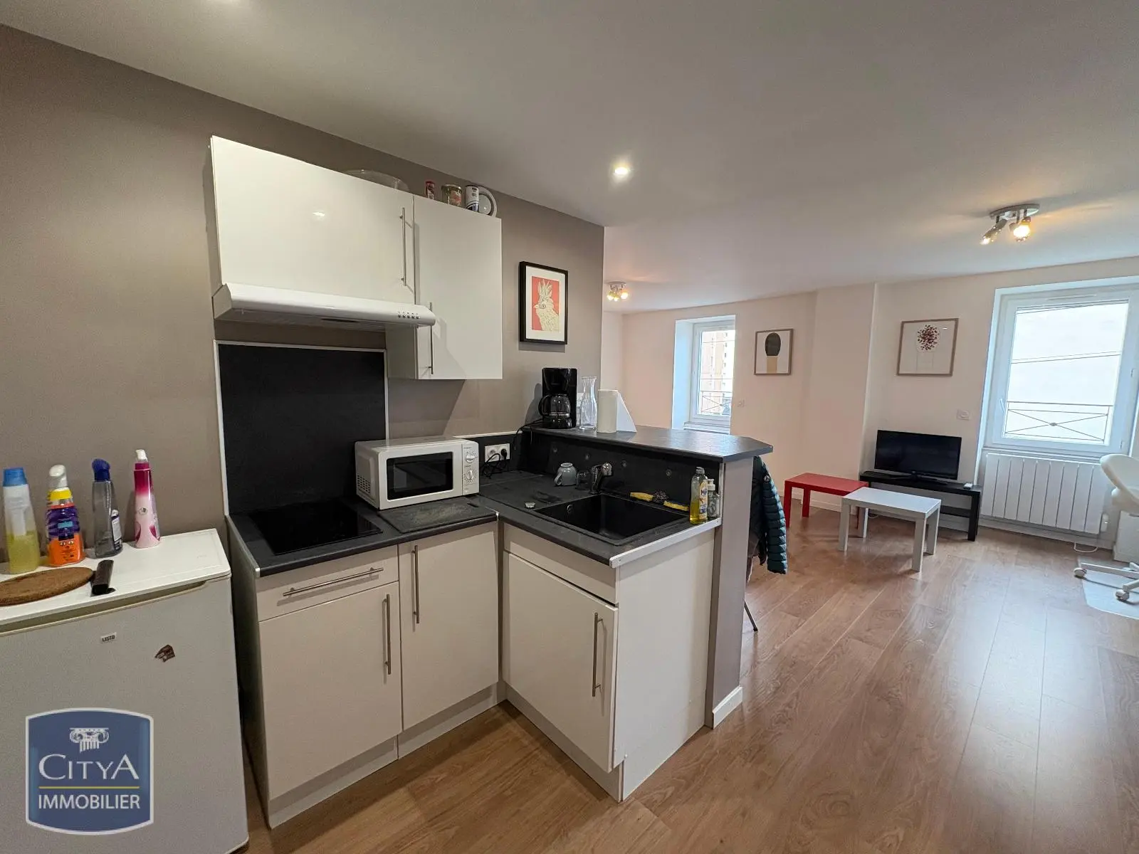 Photo 3 Appartement 1 pièce 33.07m²