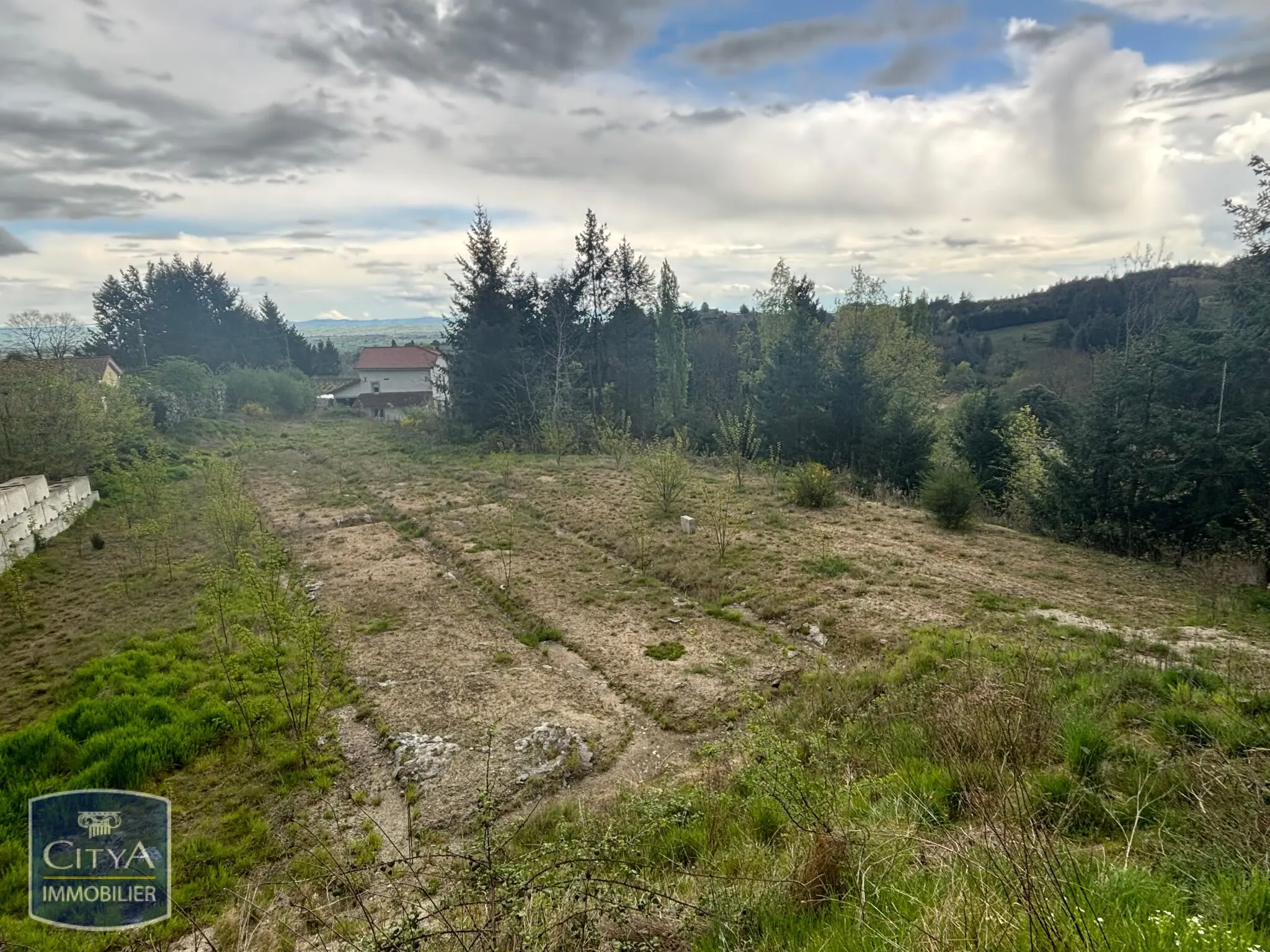 Photo 1 Terrain