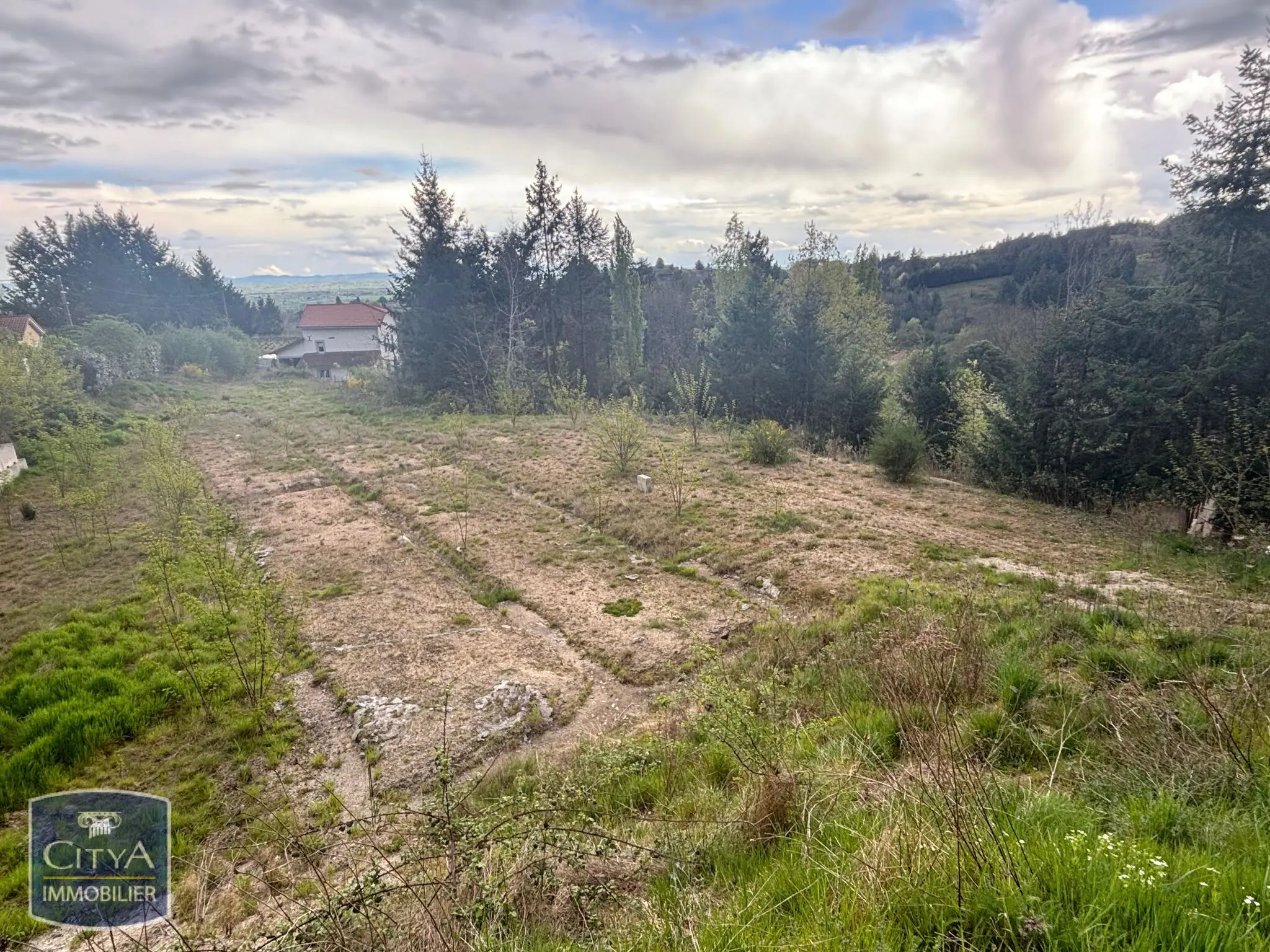 Photo 2 Terrain