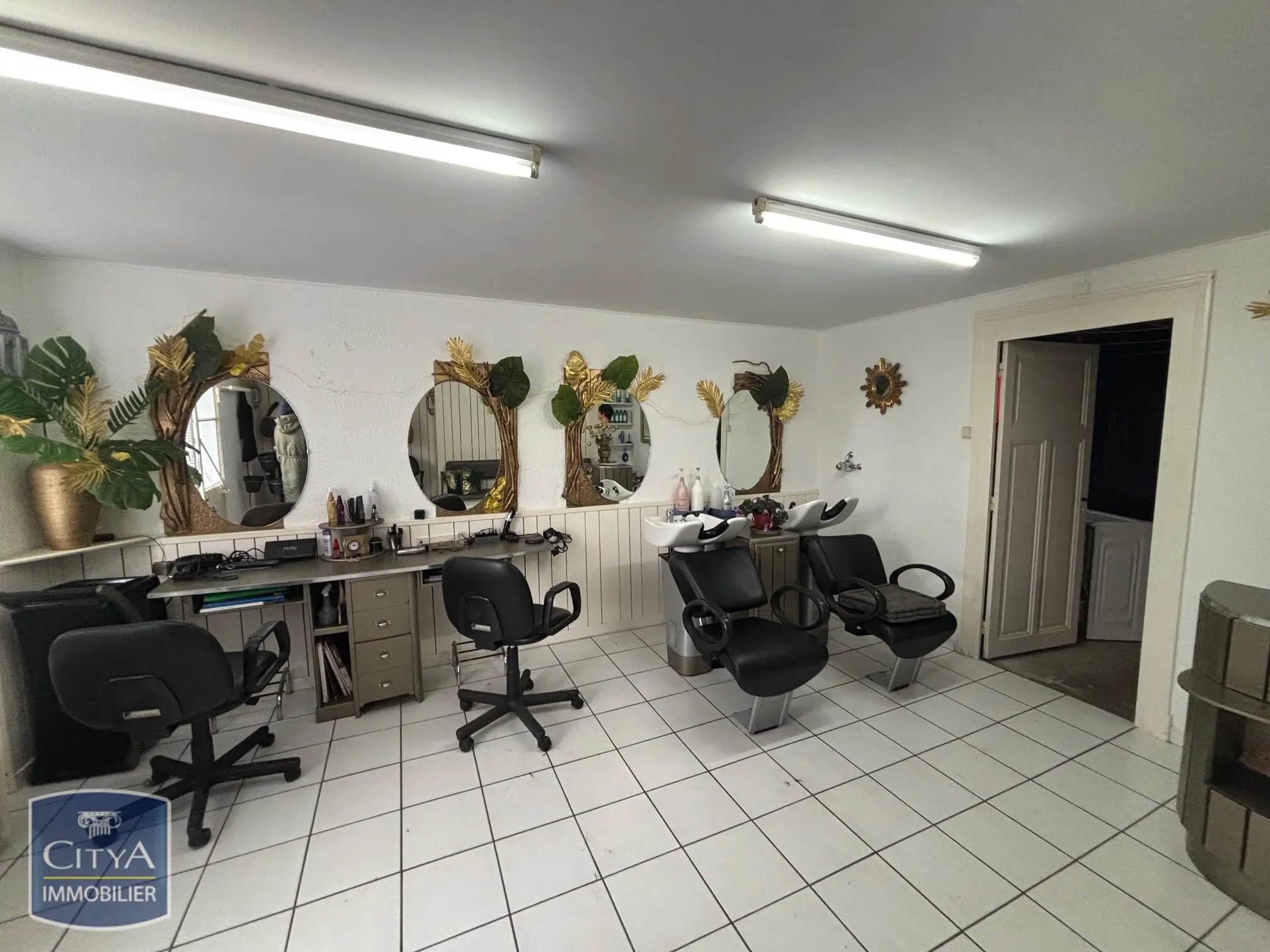 Photo 7 Local Professionnel 750m²