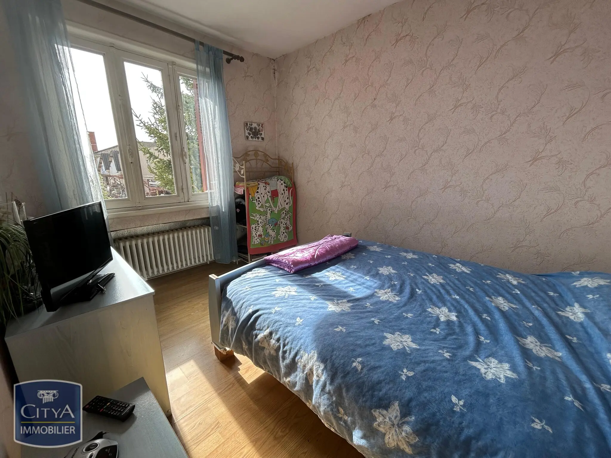Photo 4 maison Saint-Denis-de-Cabanne