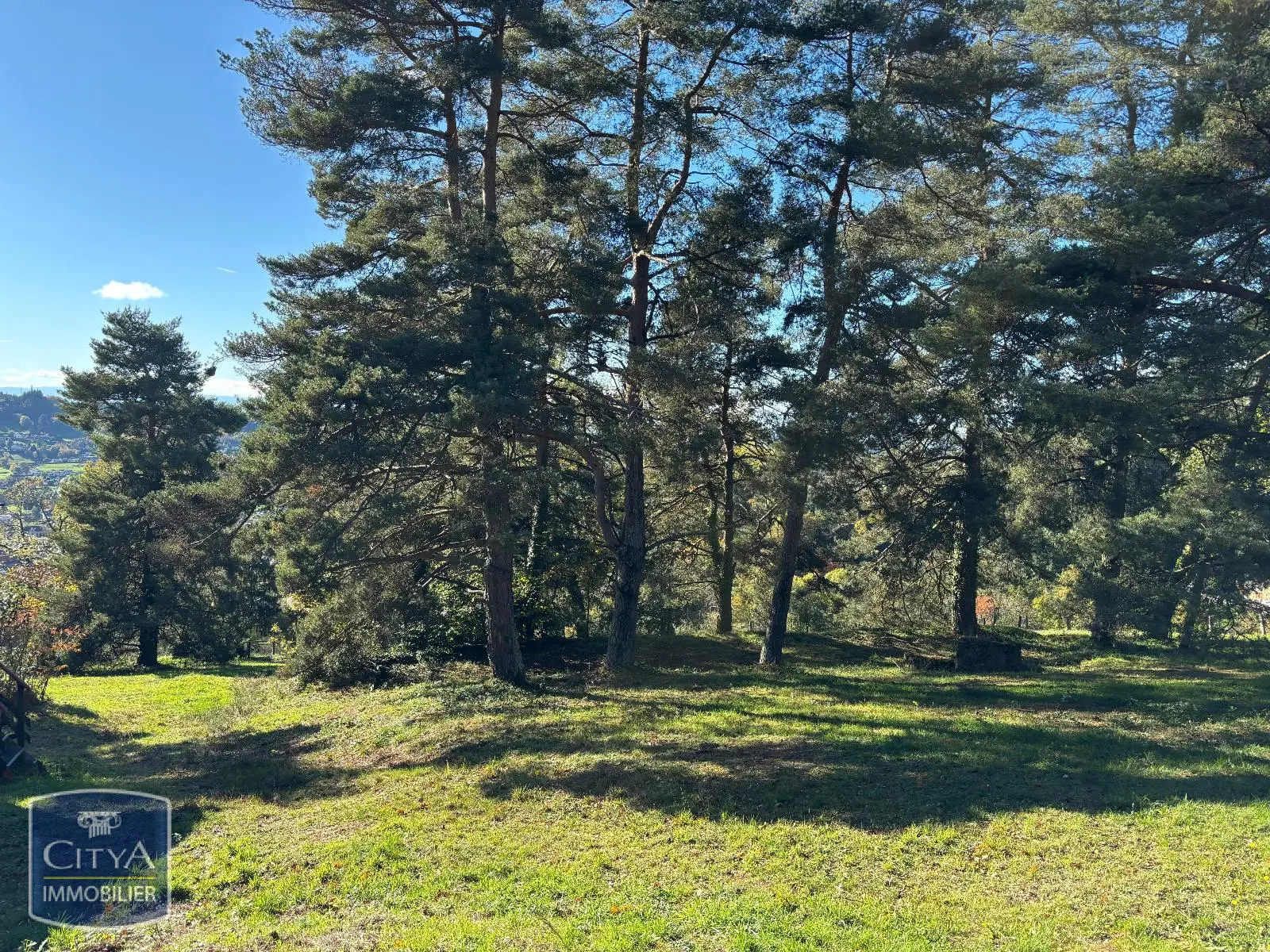 Photo 3 Terrain 6000m²