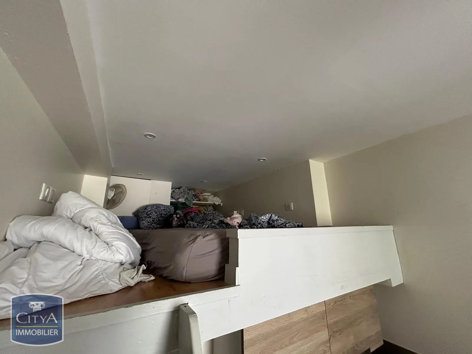 Photo 4 appartement Lyon 7e Arrondissement