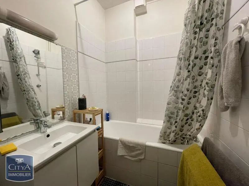 Photo 5 appartement Lyon 7e Arrondissement
