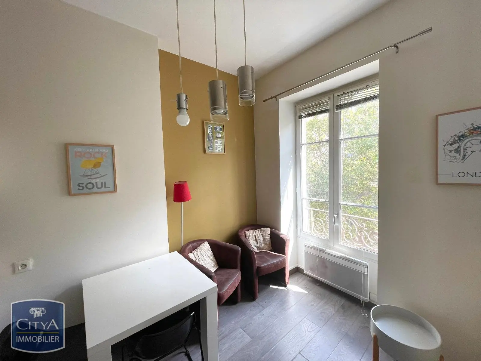 Photo 1 appartement Lyon 7e Arrondissement