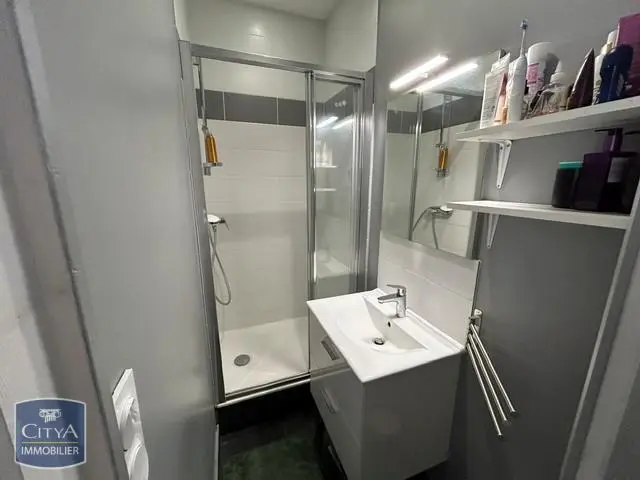 Photo 4 appartement Lyon 6e Arrondissement