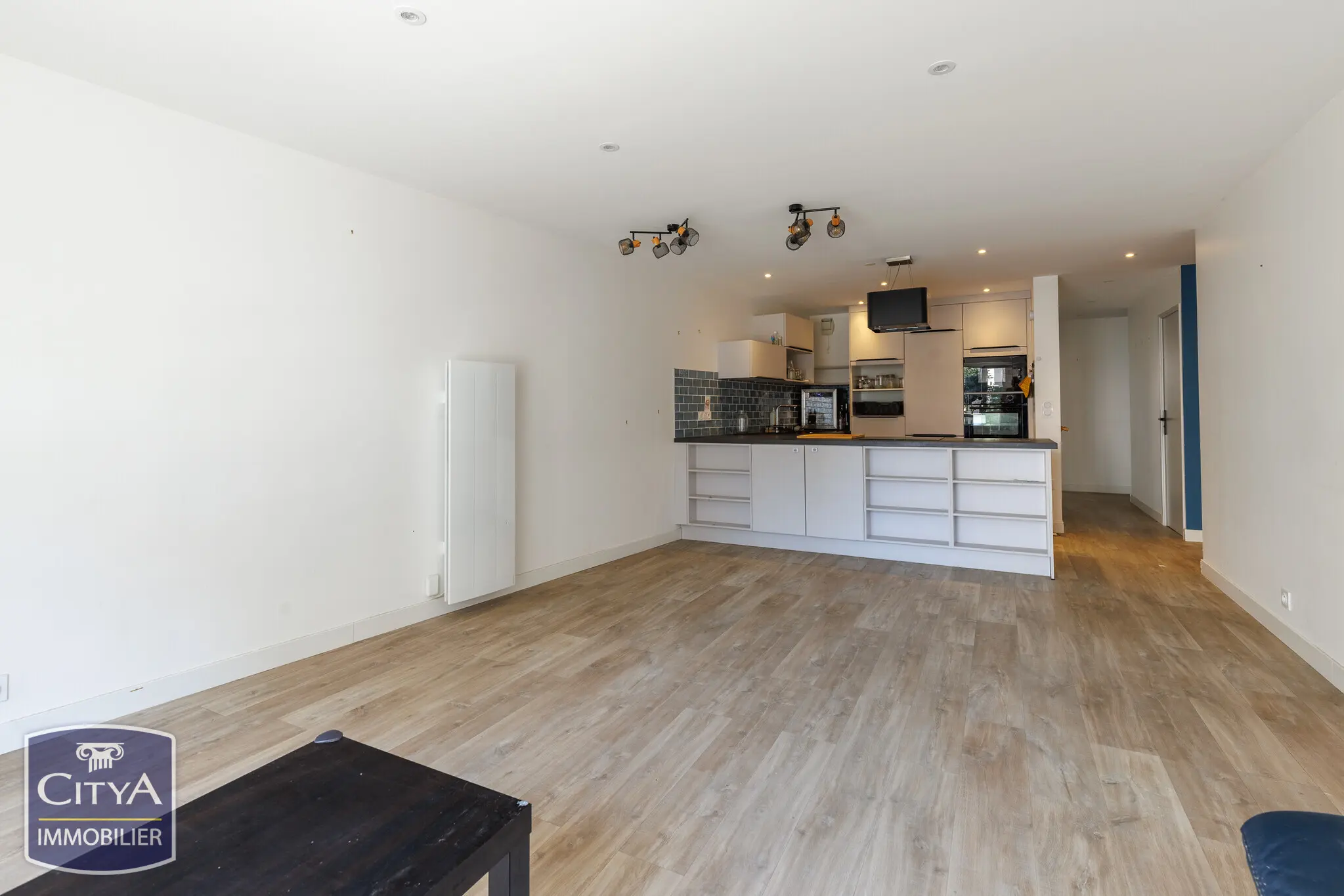Photo 1 appartement Lyon 7e Arrondissement