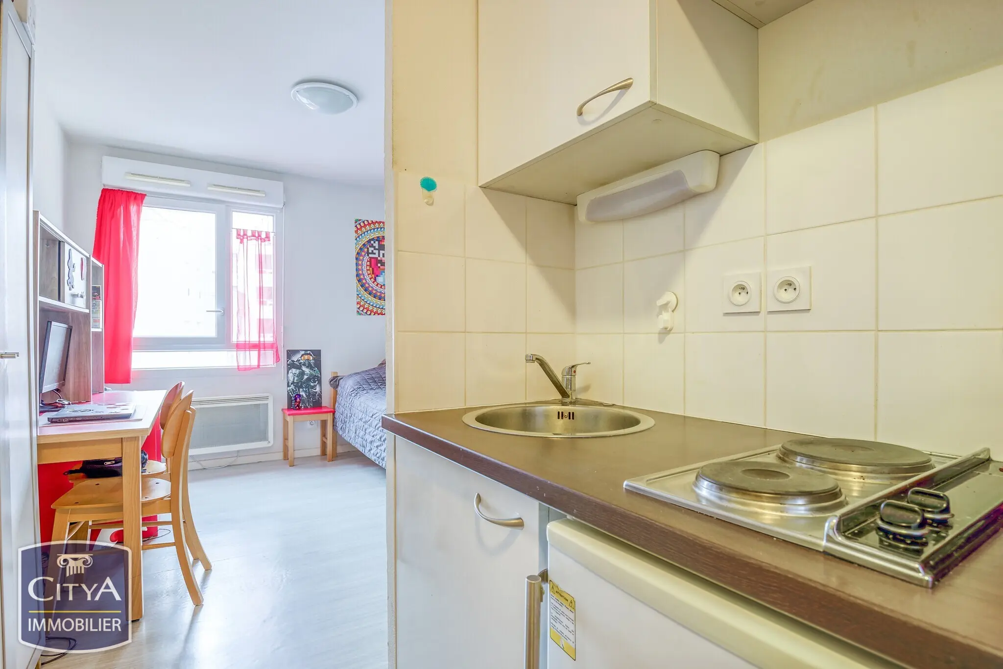 Photo 4 appartement Lyon 7e Arrondissement