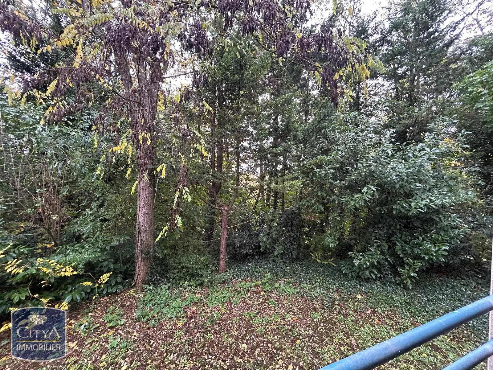 Photo 8 pour Appartement 1 pièce 30.34m² Photo 8 Appartement 1 pièce 30.34m²