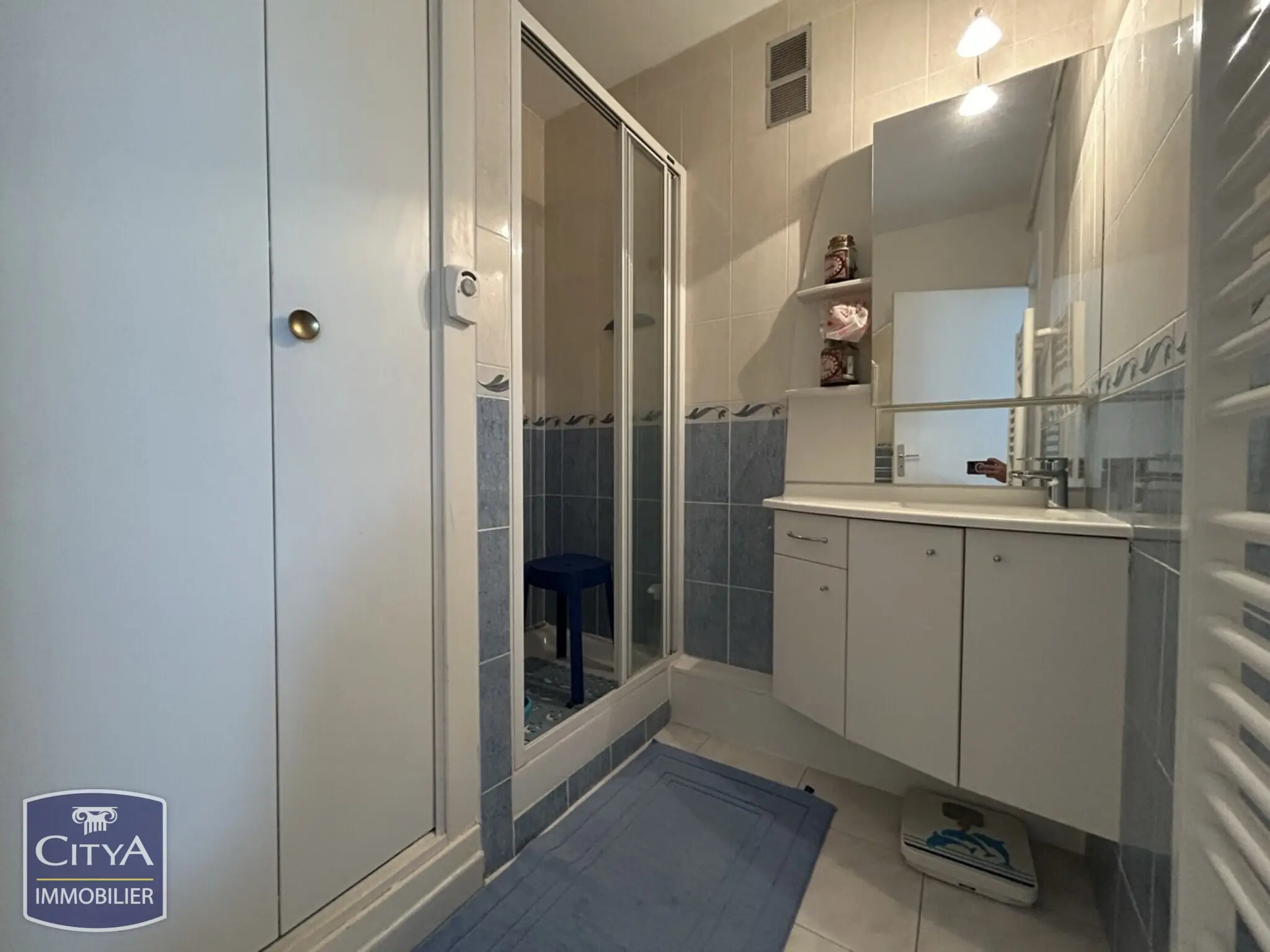 Photo 8 appartement Poitiers