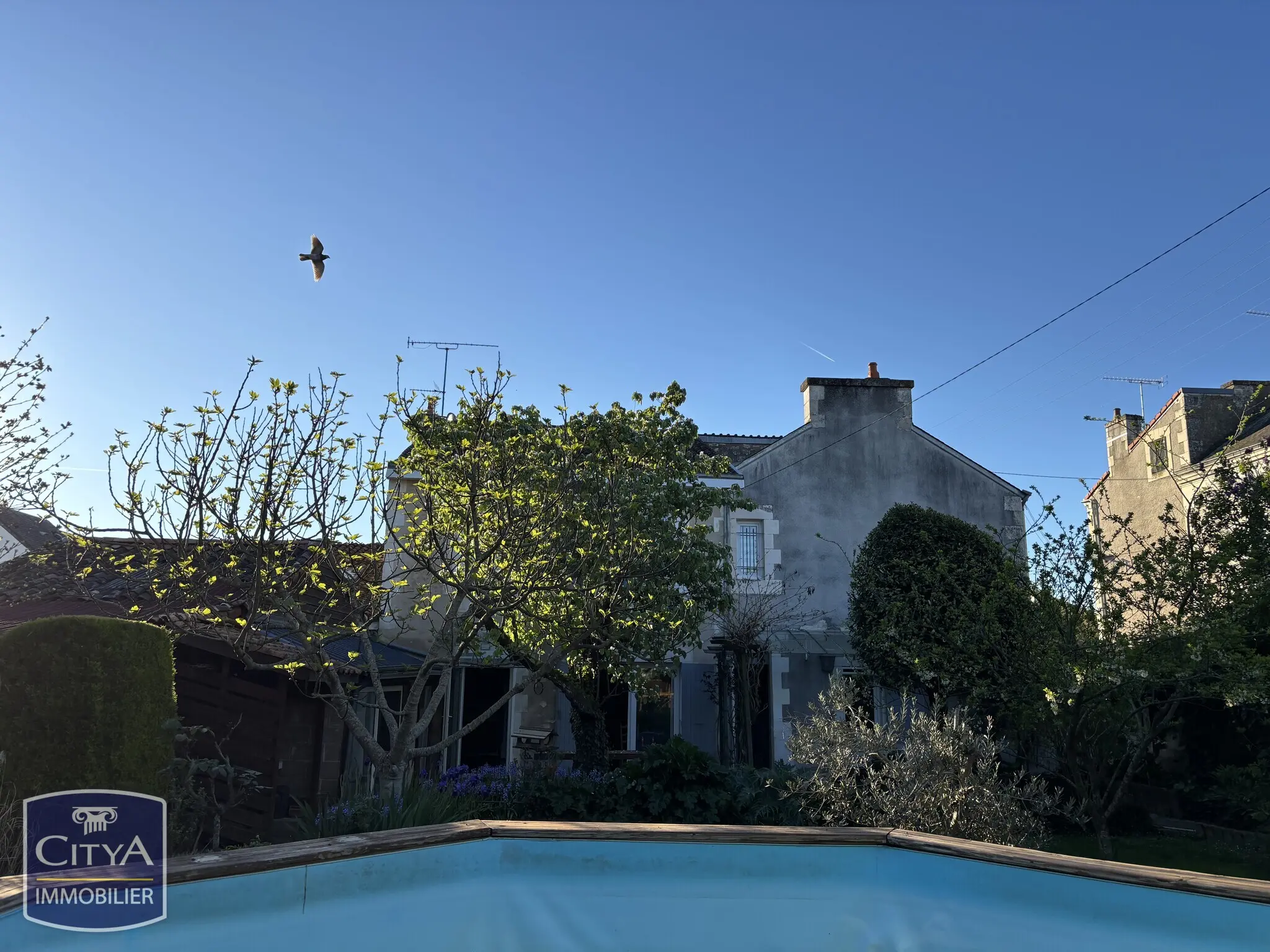 Photo 5 maison Poitiers