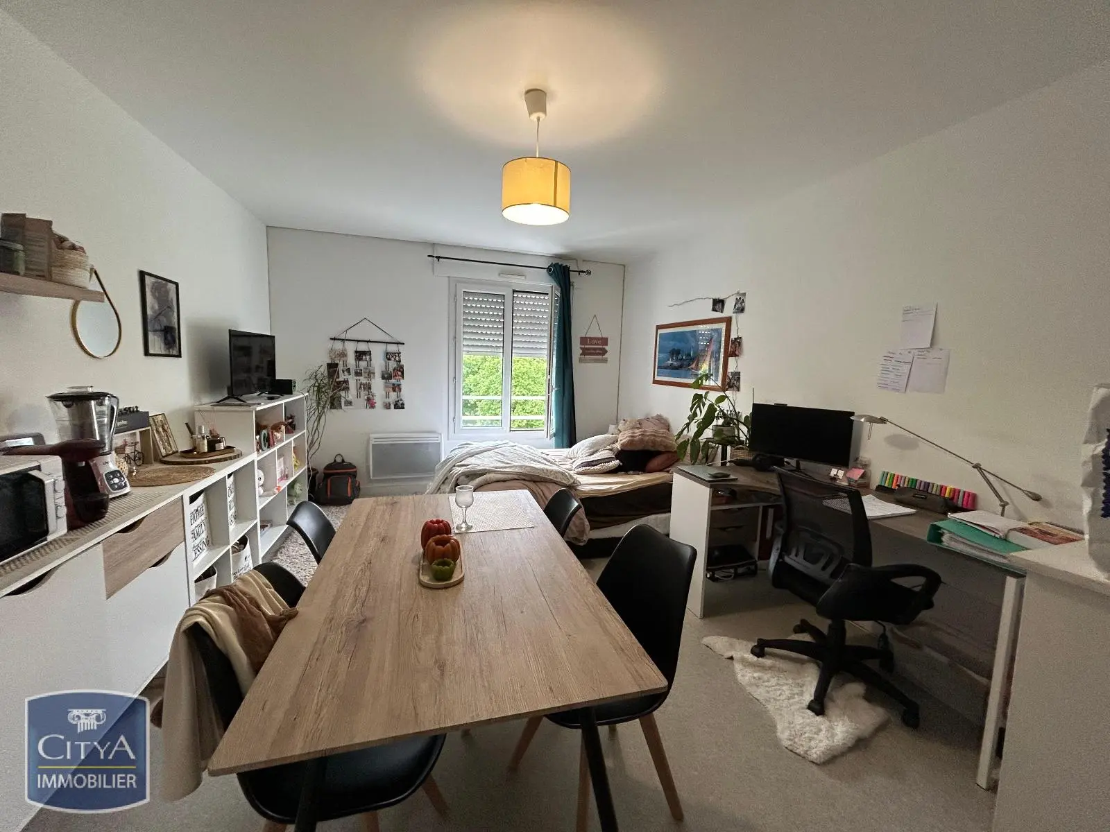 Photo 3 appartement Poitiers