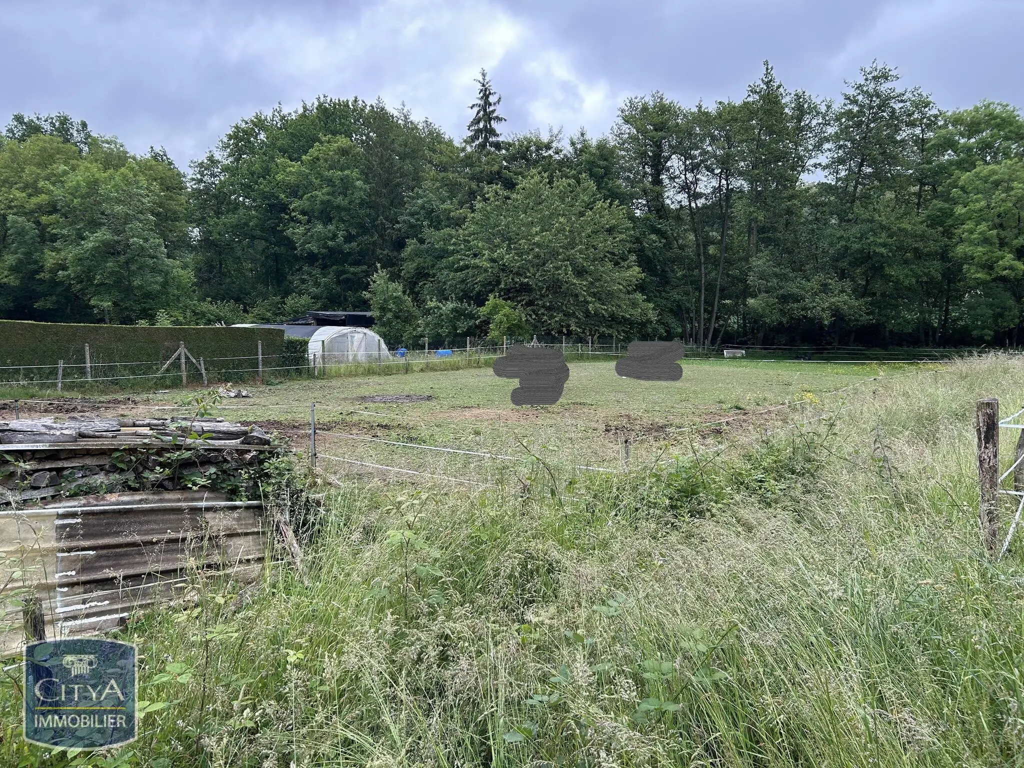 Photo 3 Terrain
