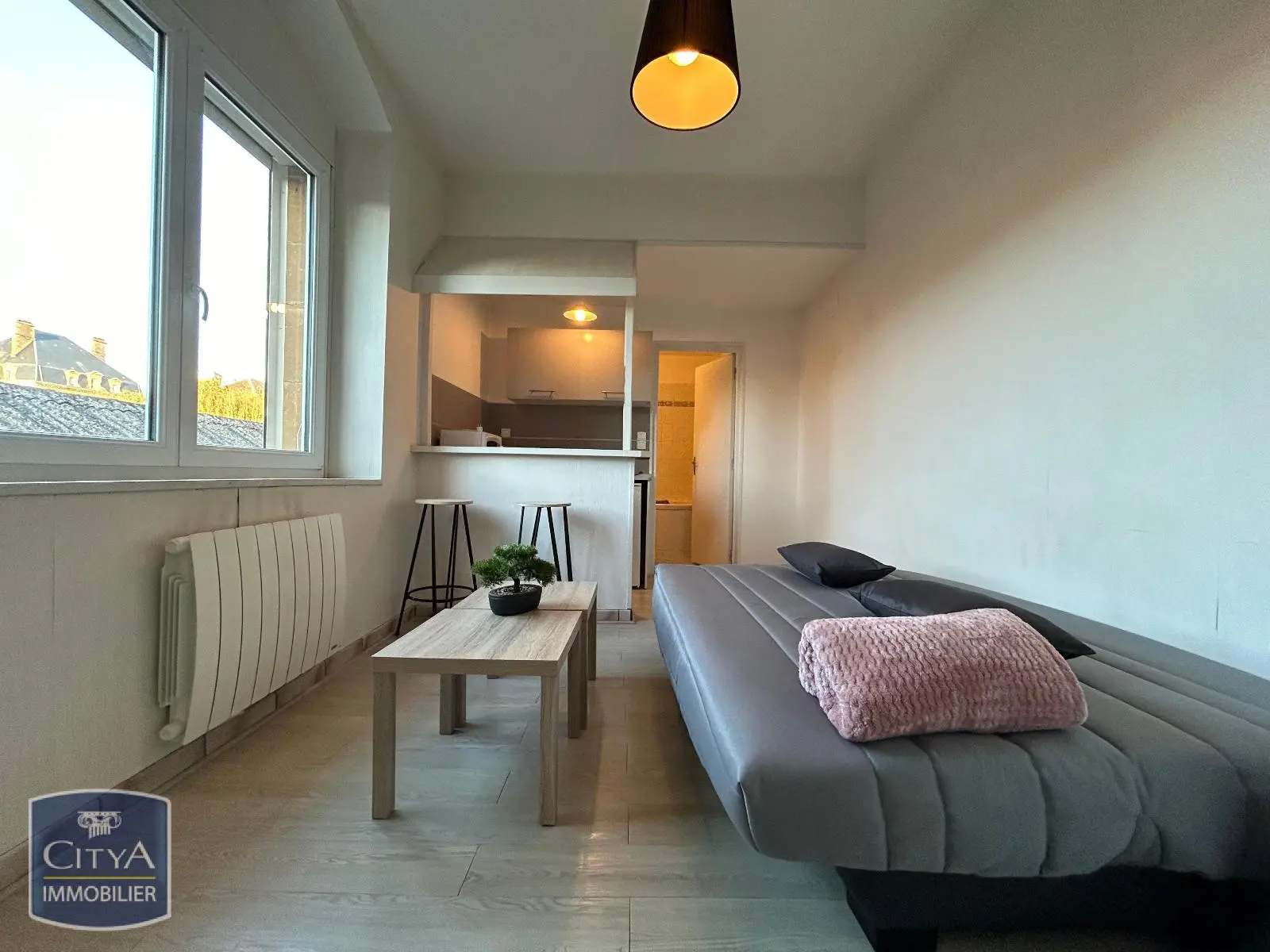 Photo 3 Appartement 1 pièce 17.57m²