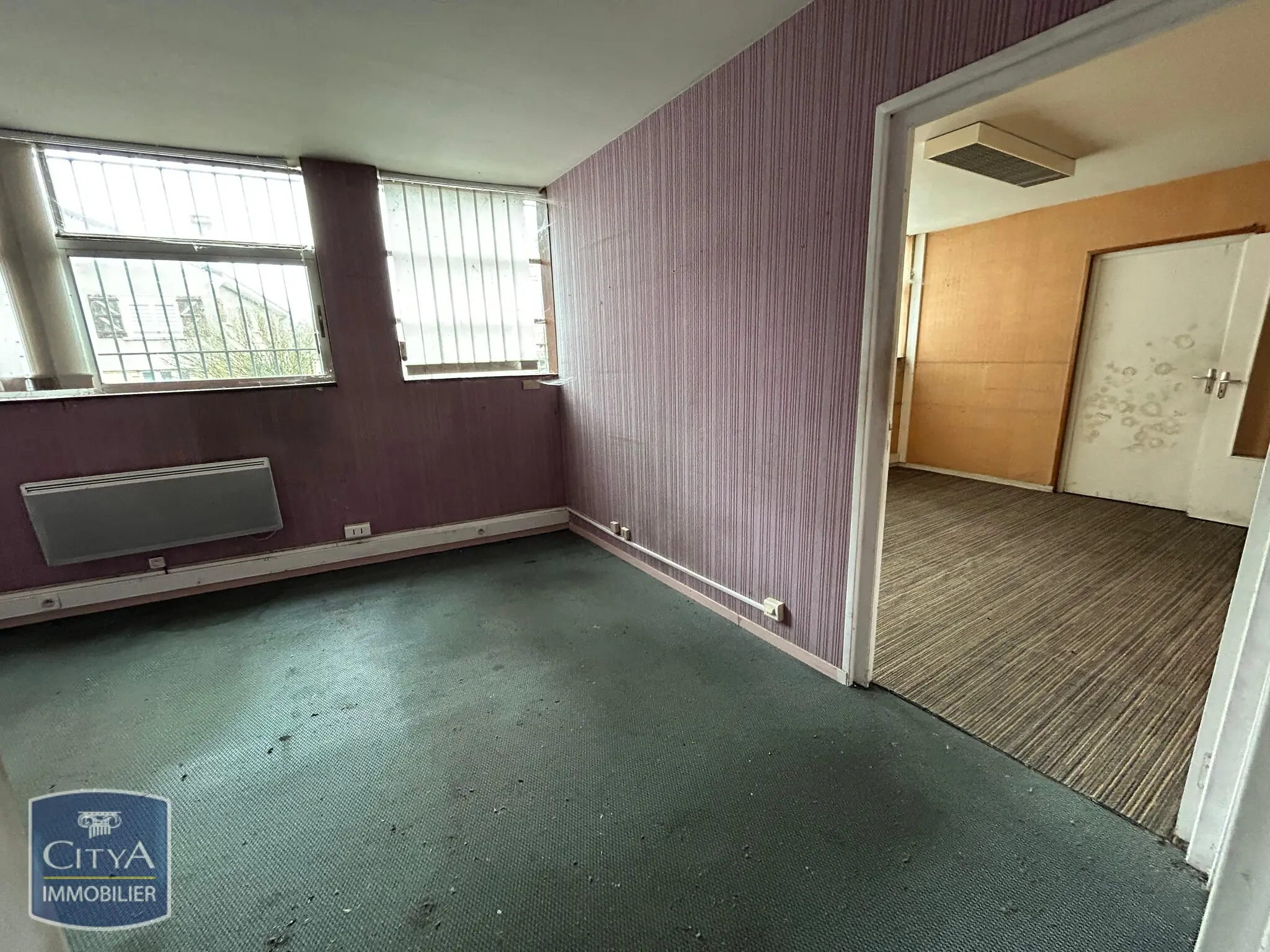 Photo 5 Local Professionnel 1360m²