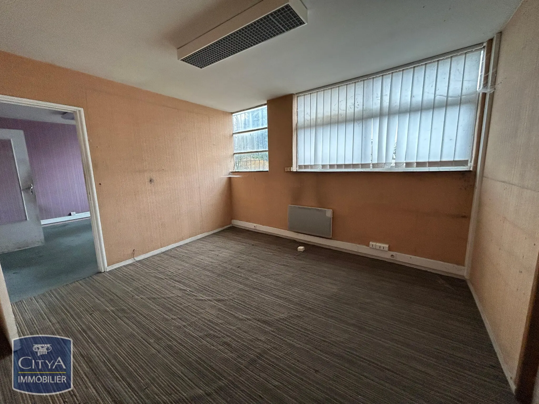 Photo 6 Local Professionnel 1360m²