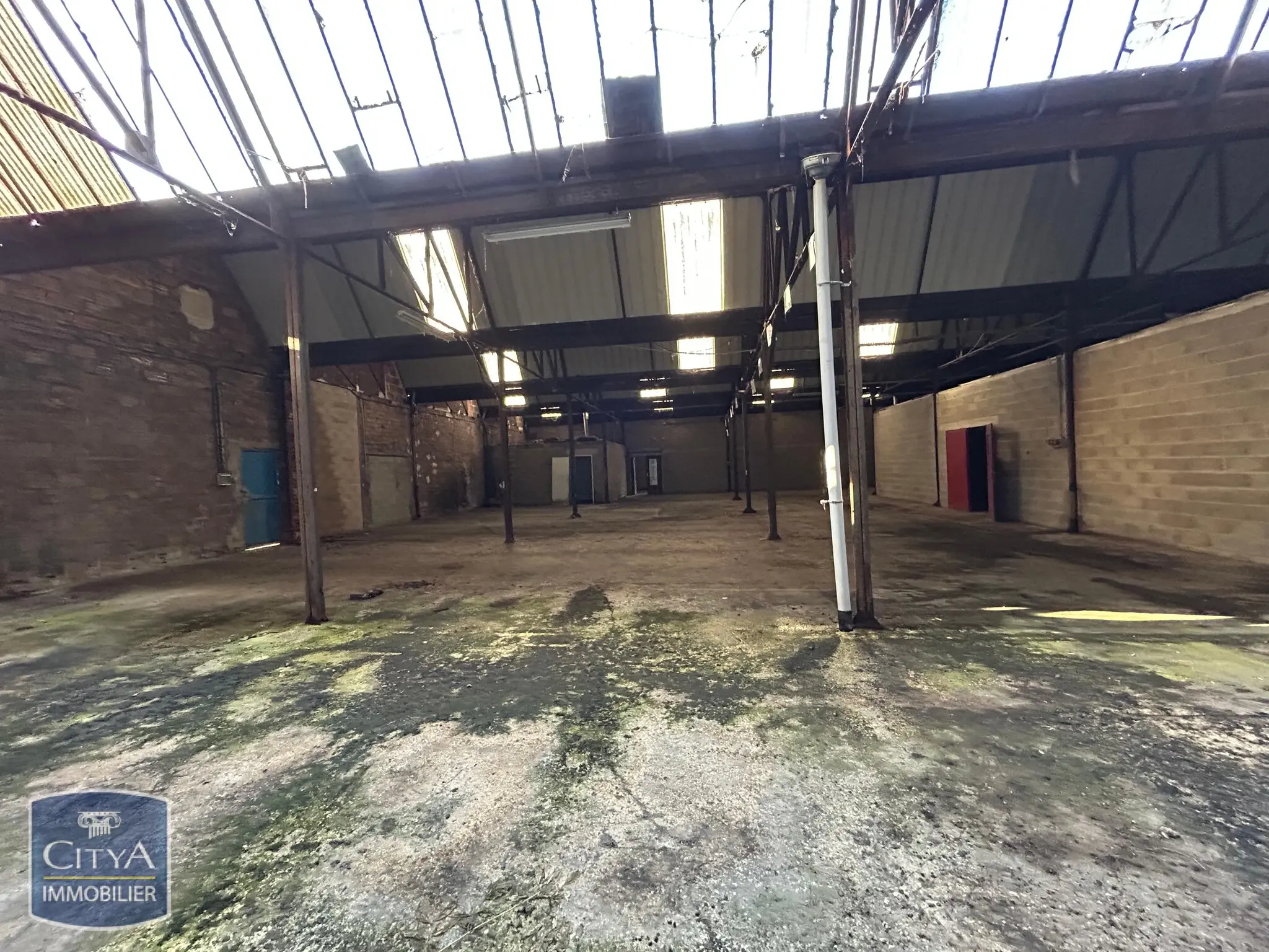 Photo 12 Local Professionnel 1360m²
