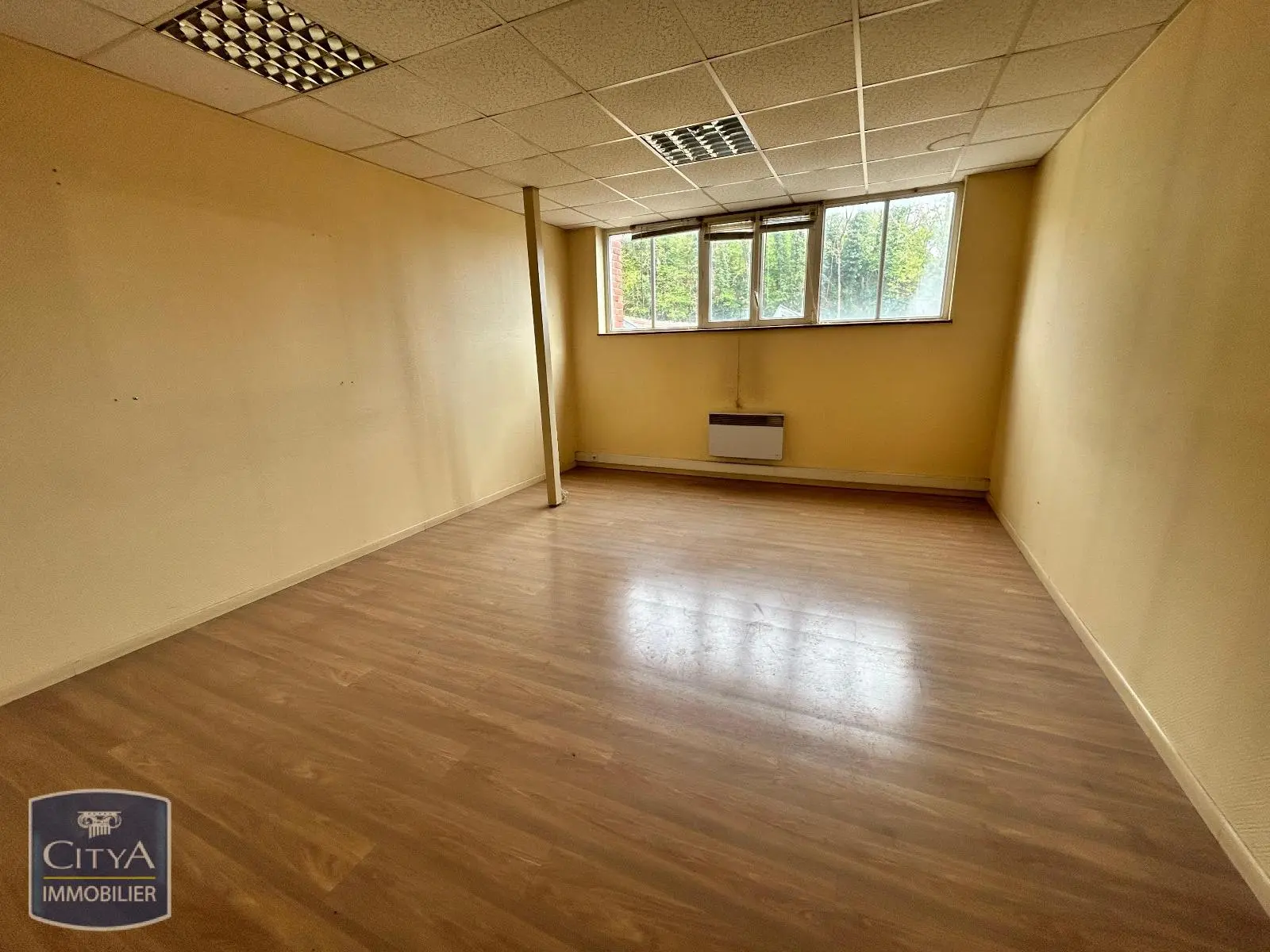 Photo 6 Local Professionnel