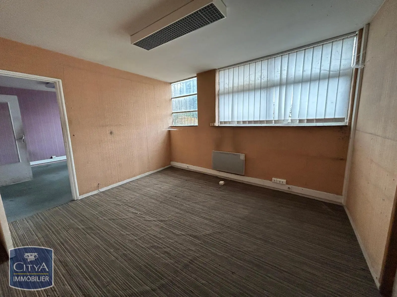 Photo 6 Local Professionnel 1360m²