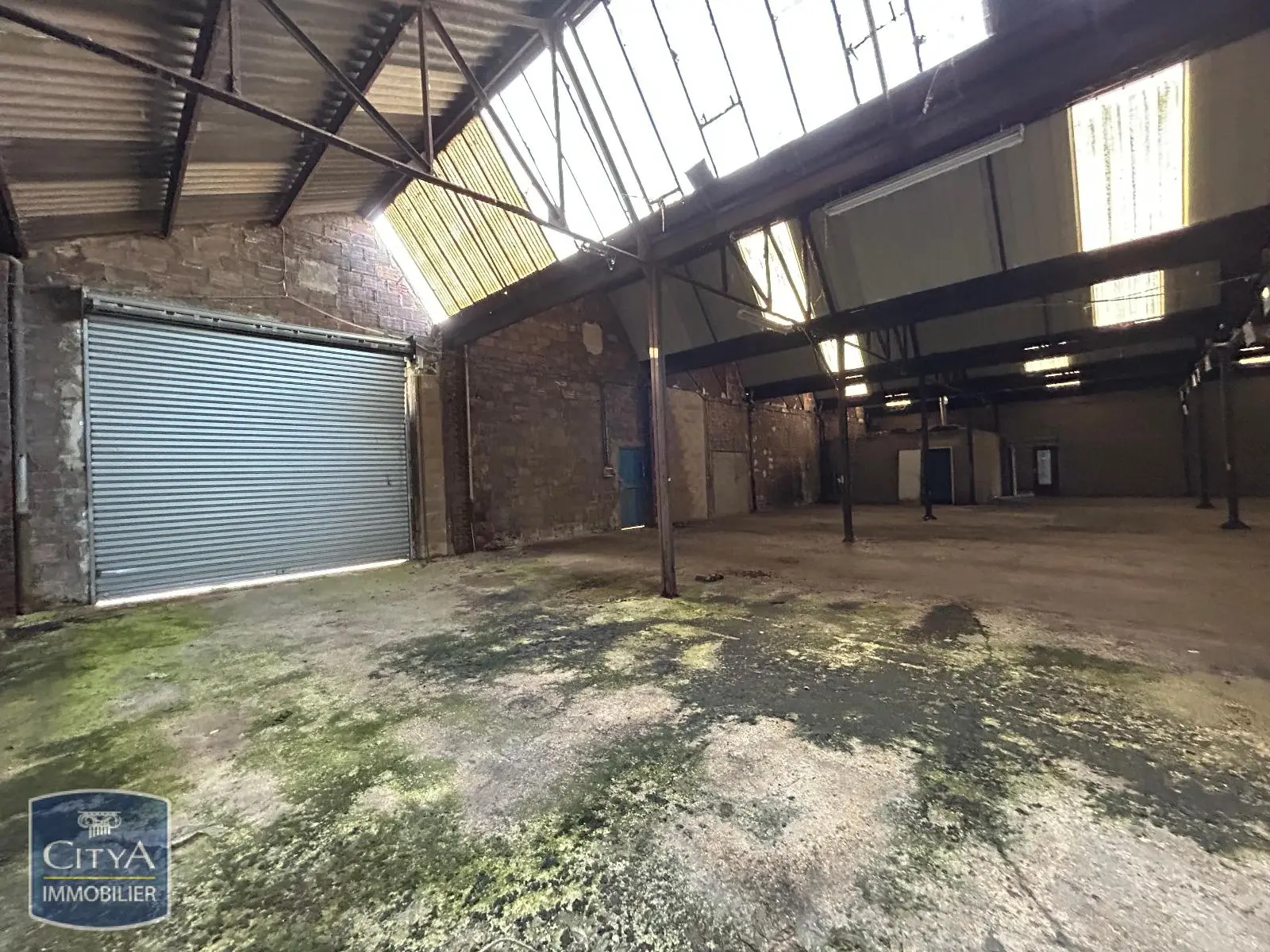 Photo 13 Local Professionnel 1360m²