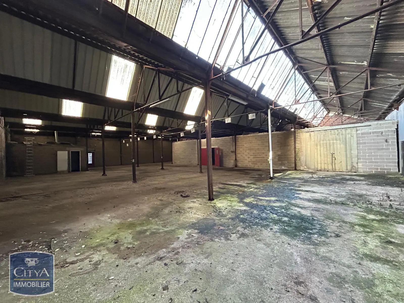 Photo 11 Local Professionnel 1360m²