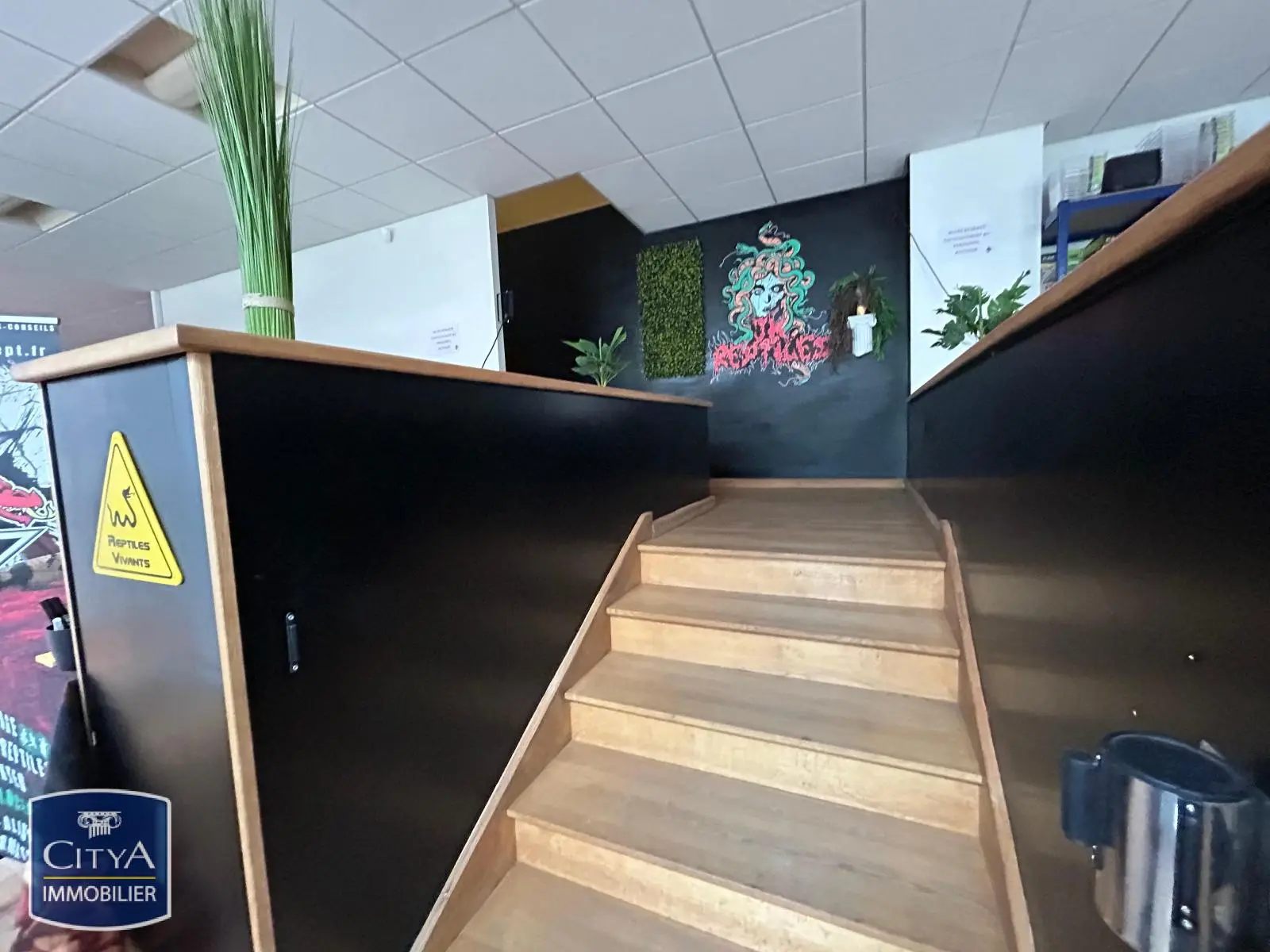 Photo 4 Local Commercial 235m²