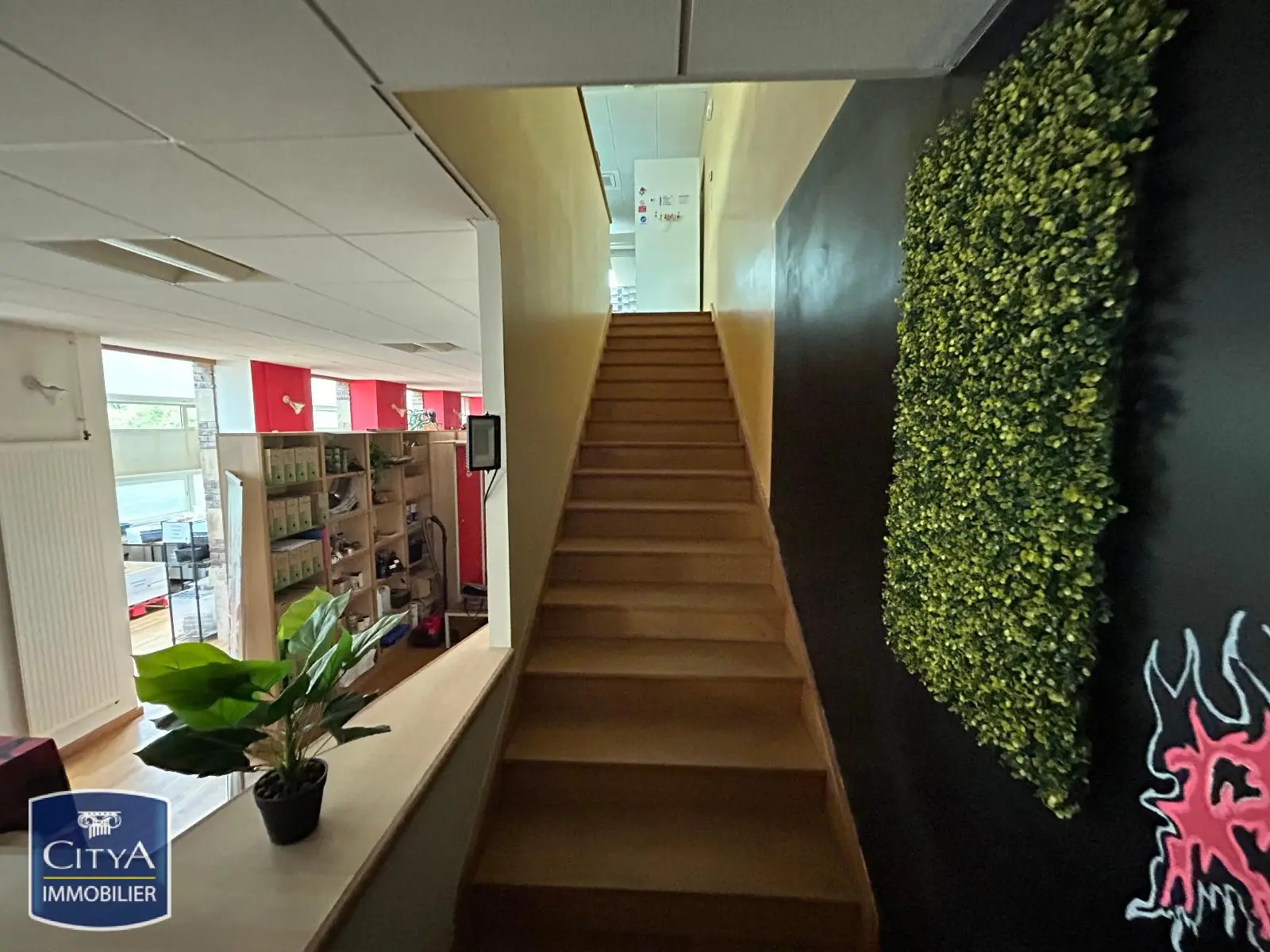 Photo 2 Local Commercial 235m²