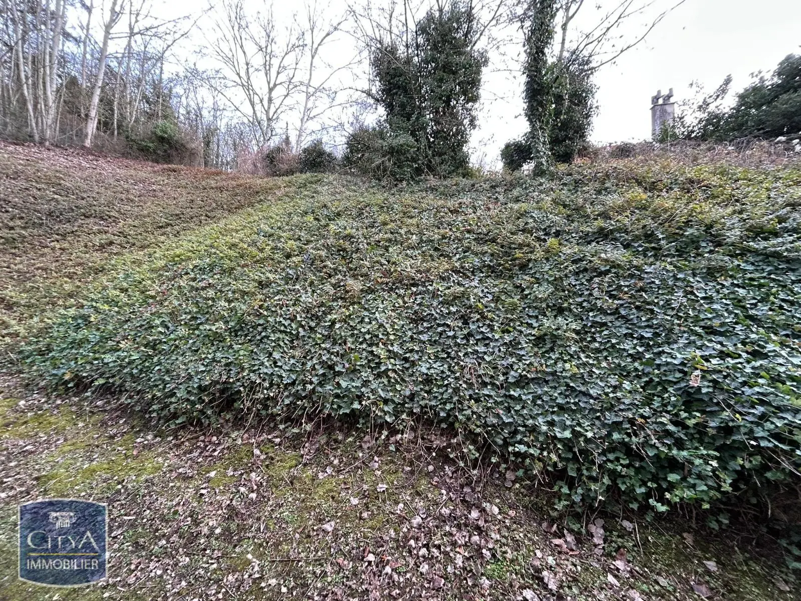 Photo 10 Appartement 31.55m²