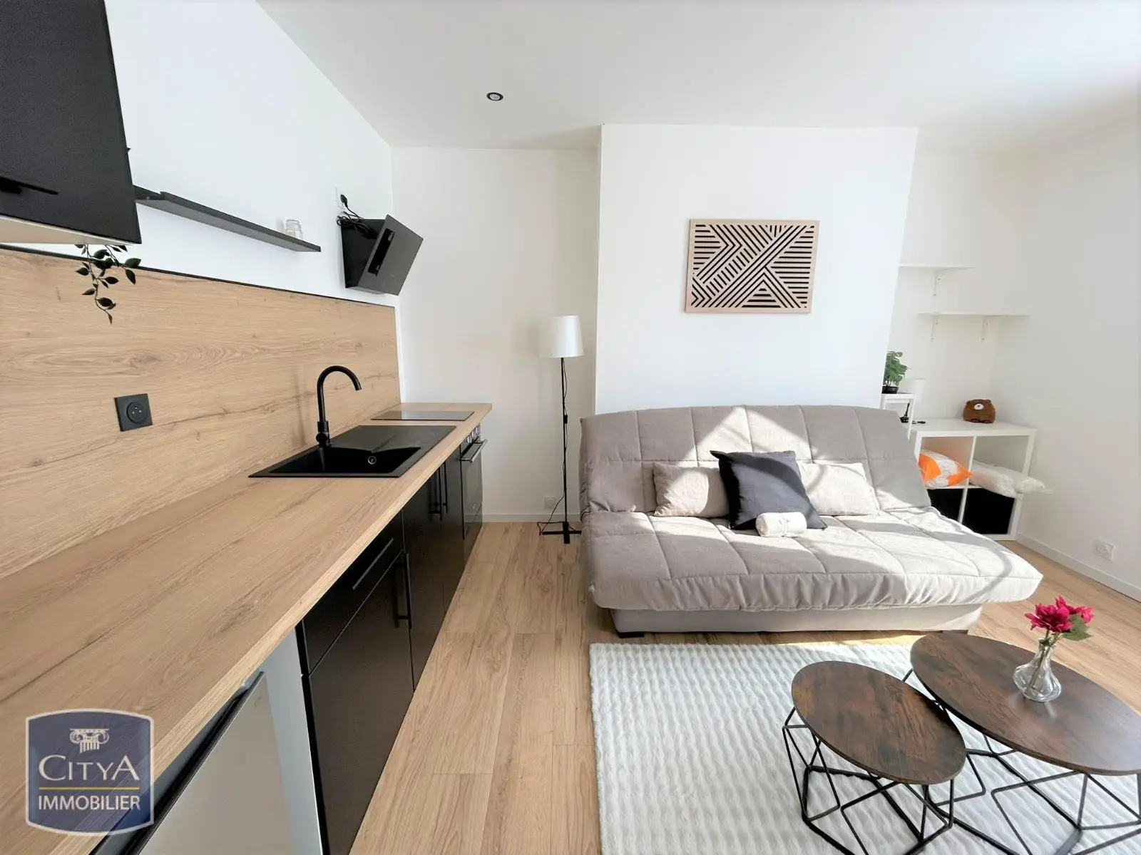 Photo 2 Appartement 1 pièce 21.33m²