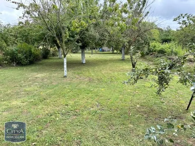 Photo 9 Terrain