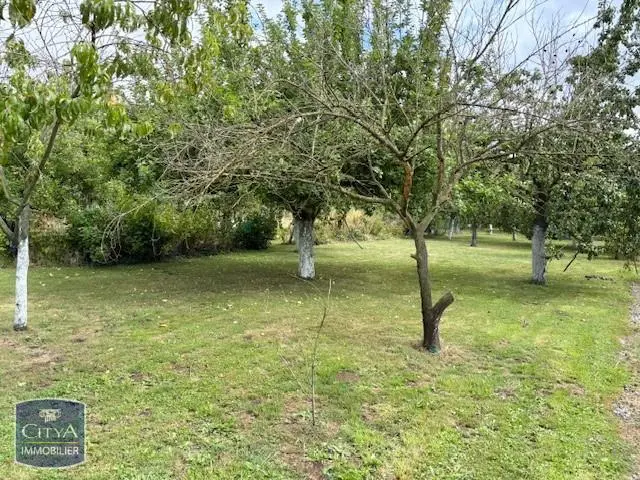 Photo 10 Terrain