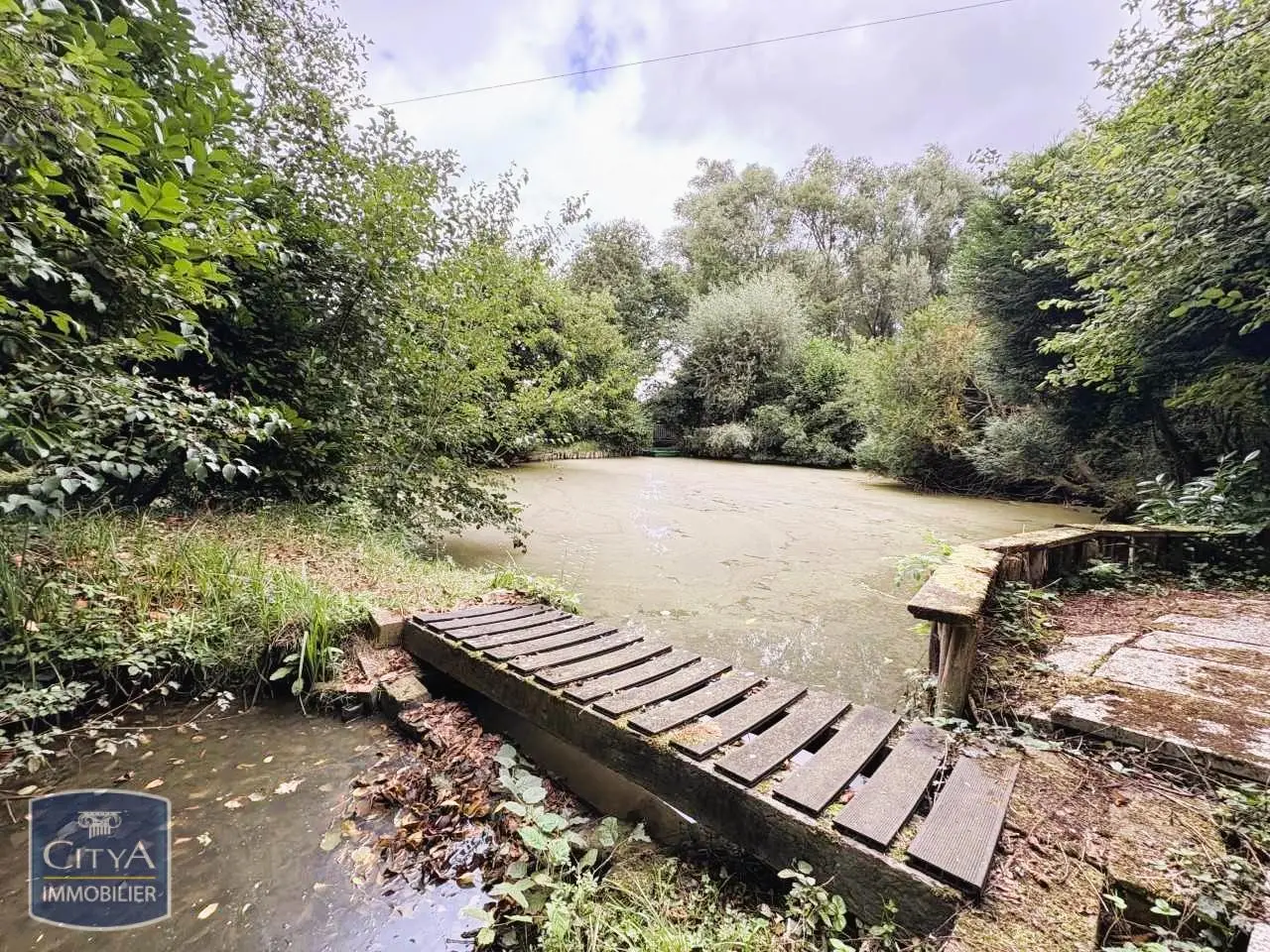 Photo 3 Terrain 5200m²