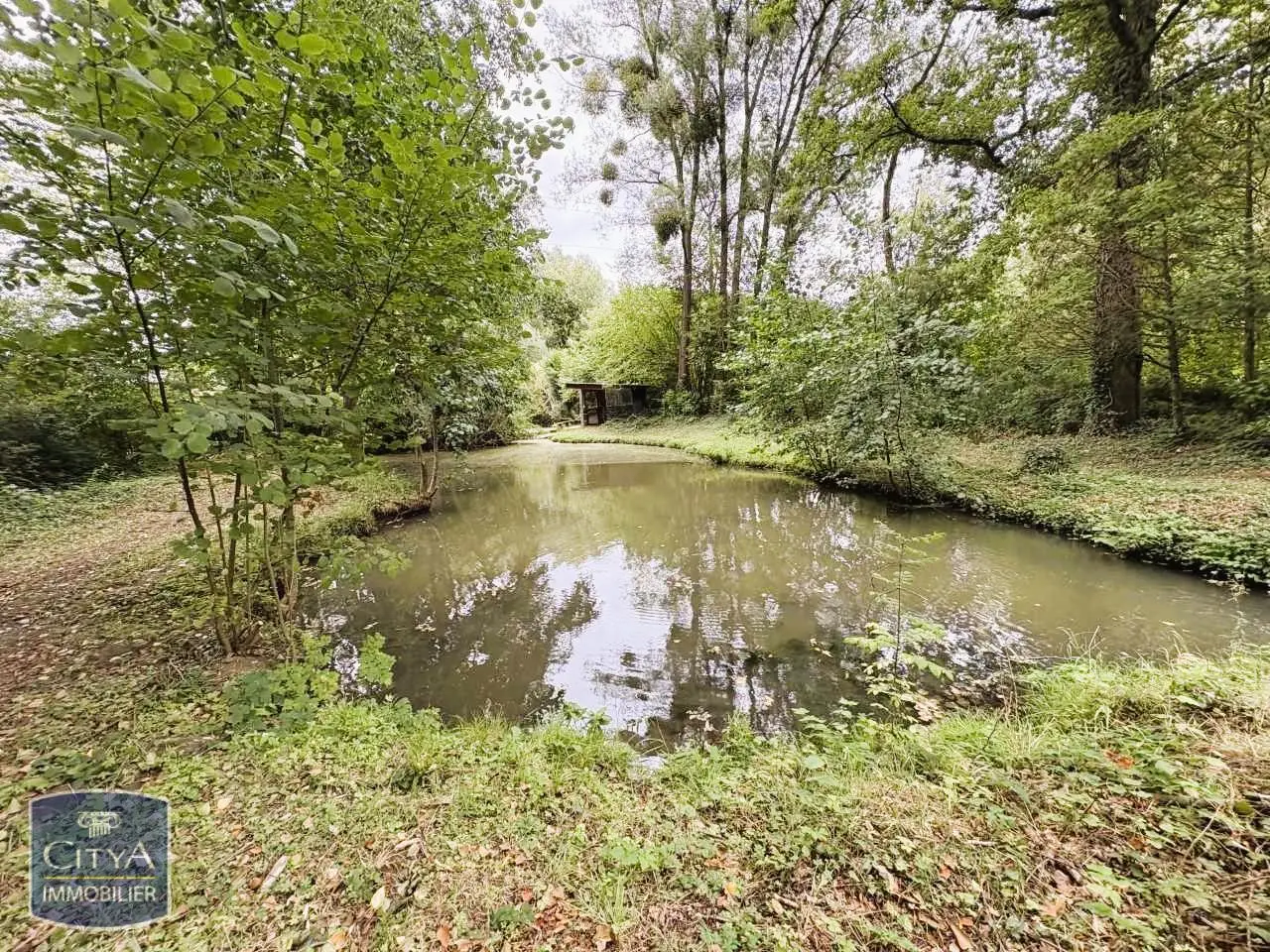 Photo 4 Terrain 5200m²