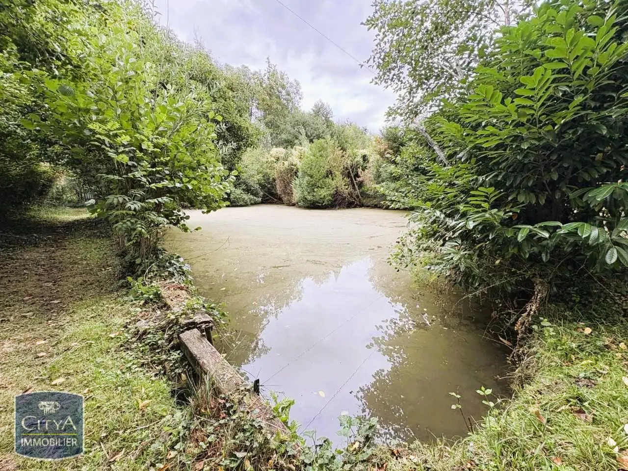 Photo 6 Terrain 5200m²