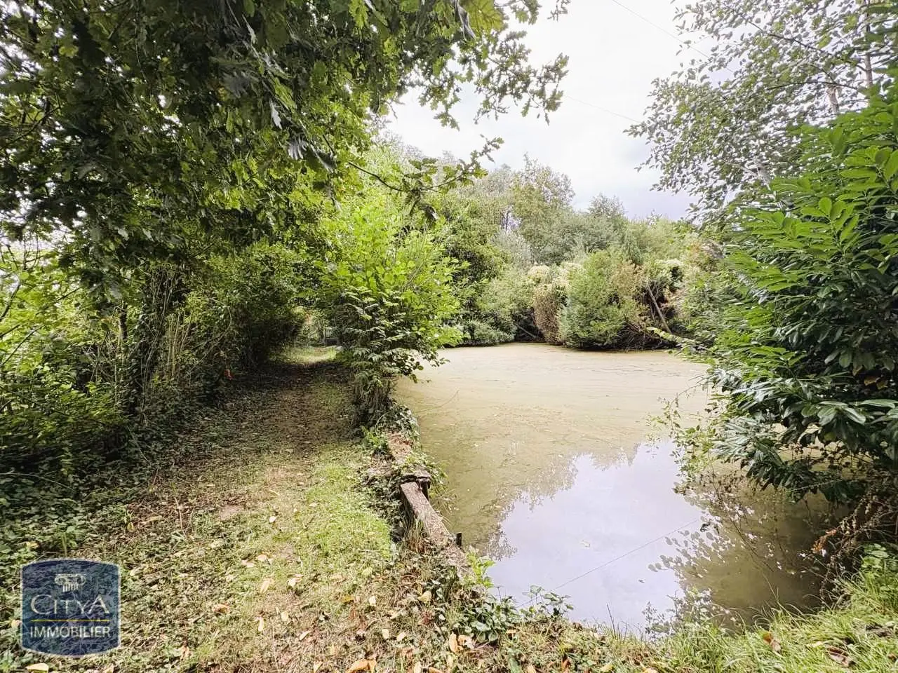 Photo 9 Terrain 5200m²