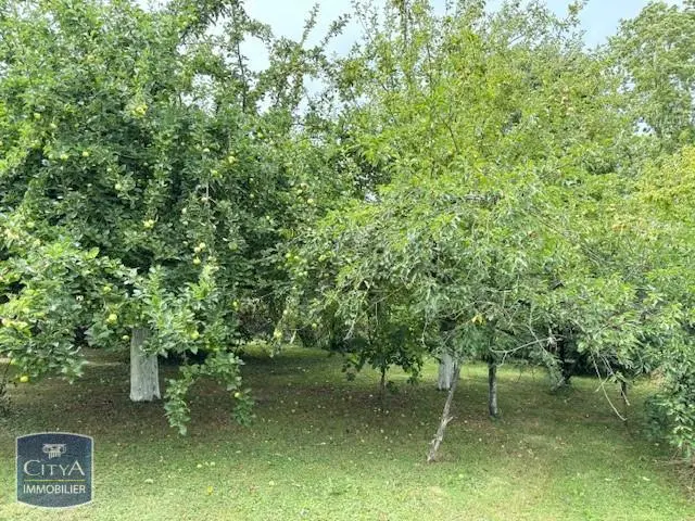 Photo 3 Terrain 1160m²