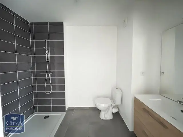 Photo 3 appartement Lyon 8e Arrondissement