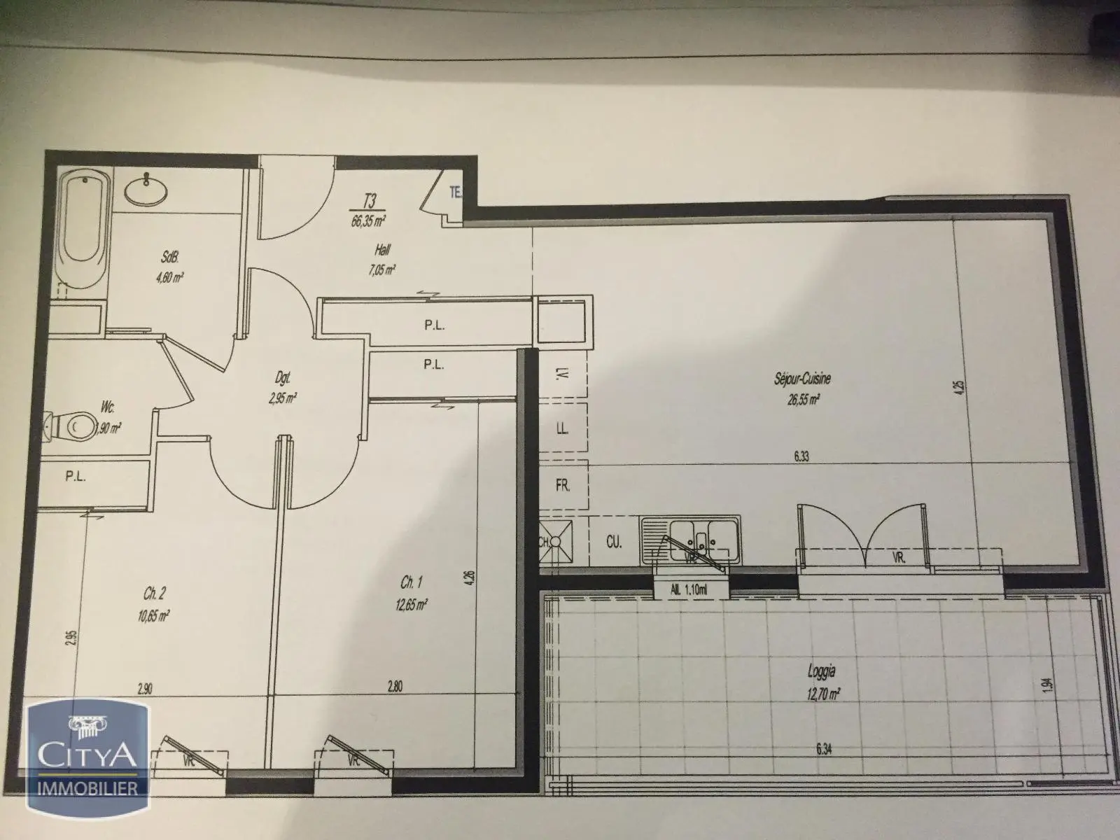 Photo 4 appartement Villeurbanne