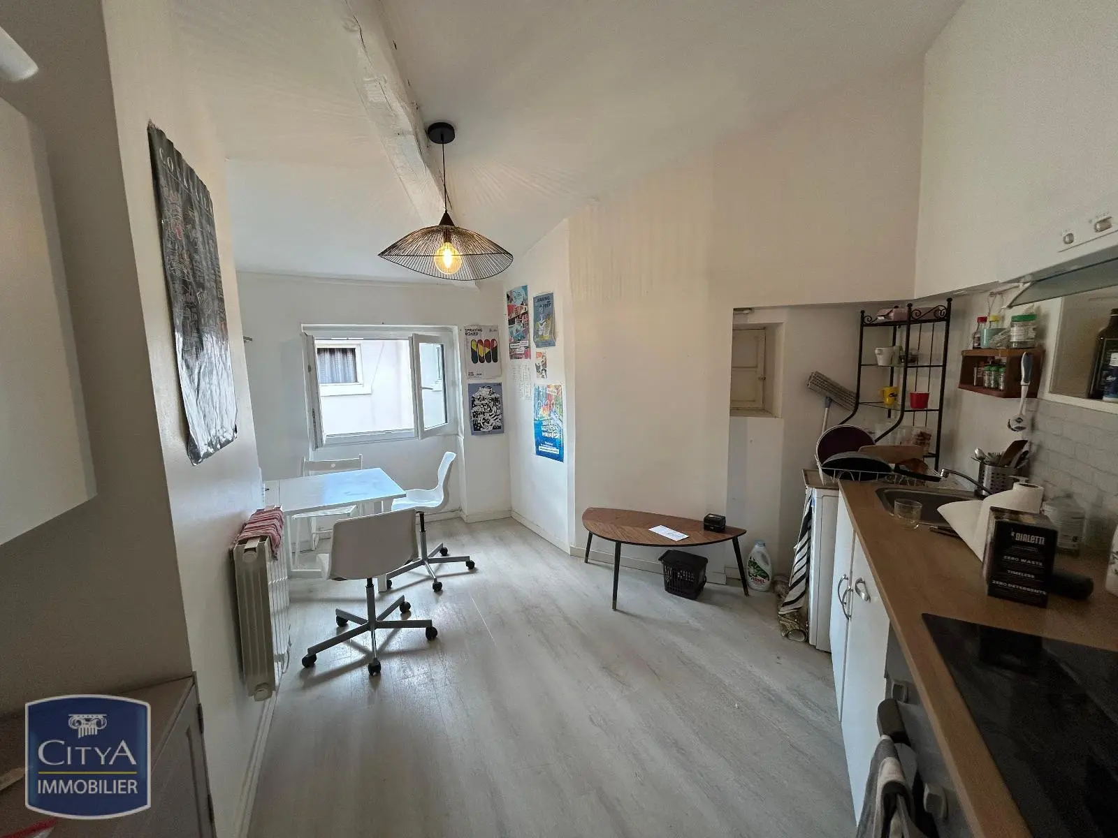 Photo 3 appartement Lyon 7e Arrondissement