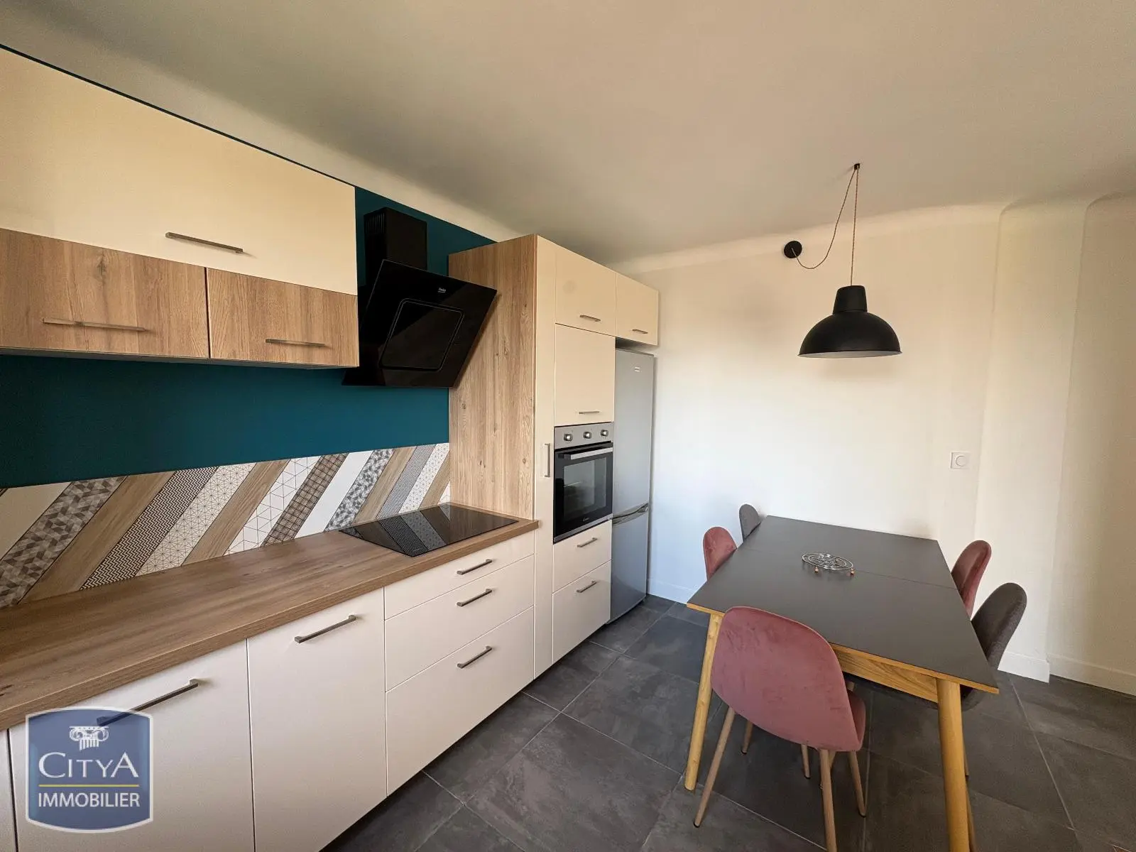 Photo 2 appartement Lyon 8e Arrondissement
