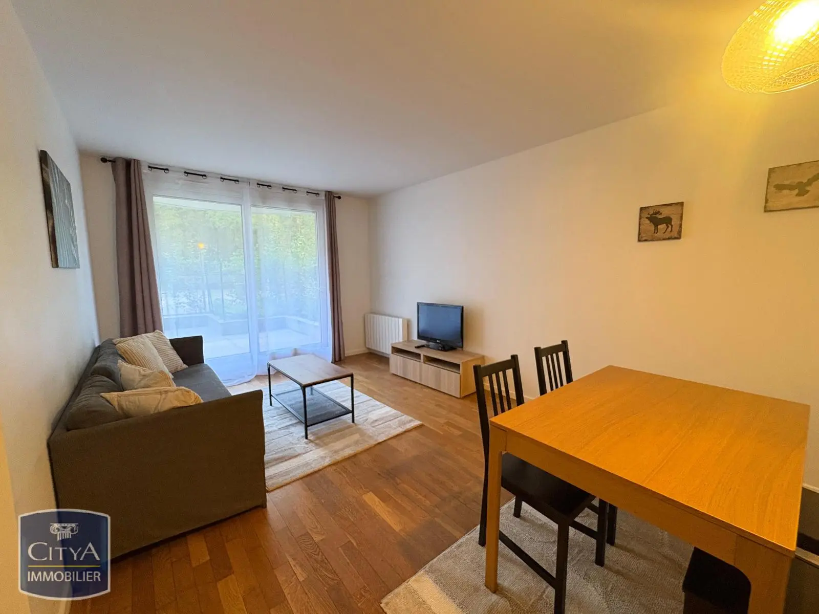 Photo 1 appartement Lyon 3e Arrondissement