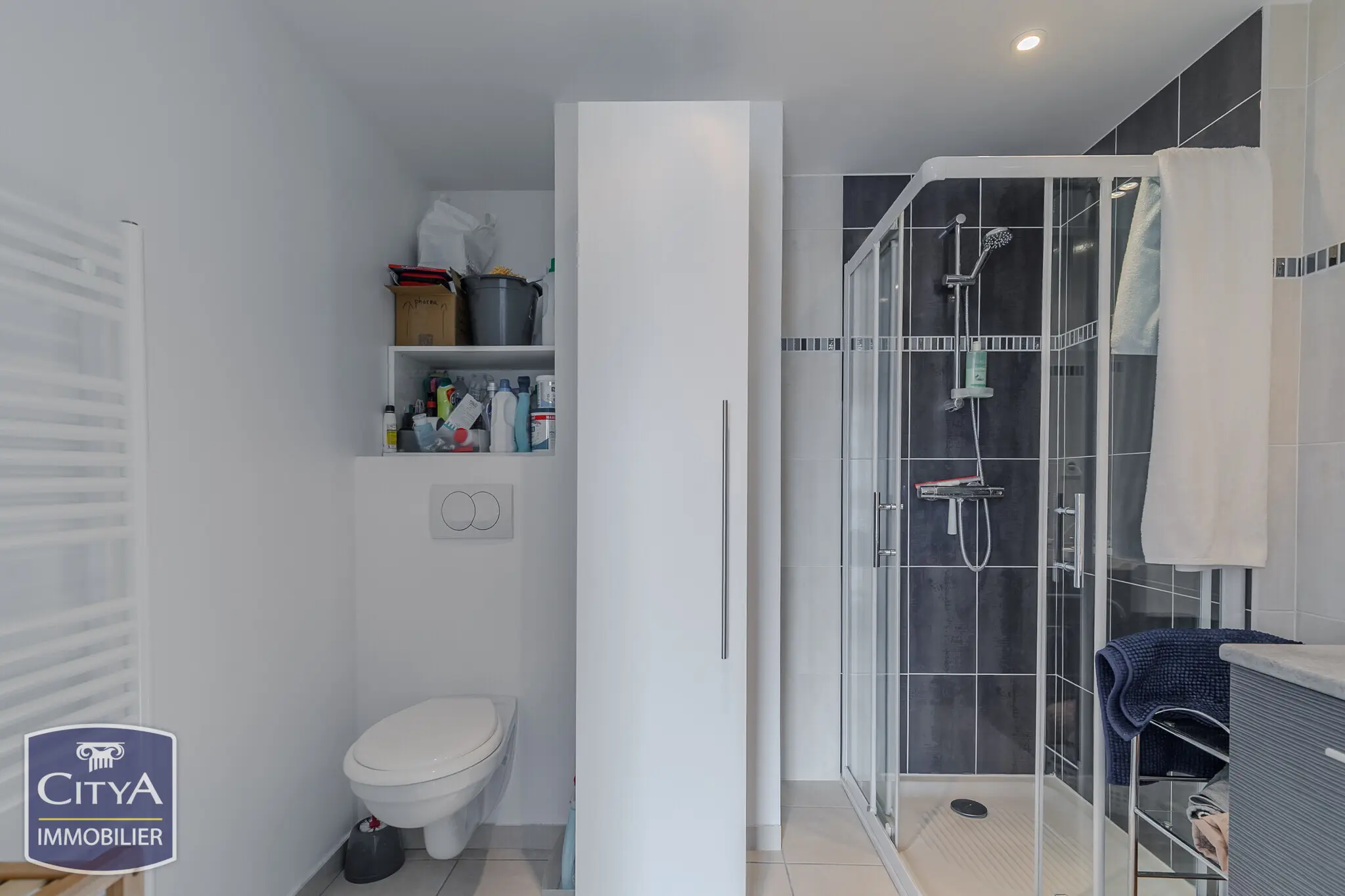 Photo 5 appartement Lyon 8e Arrondissement