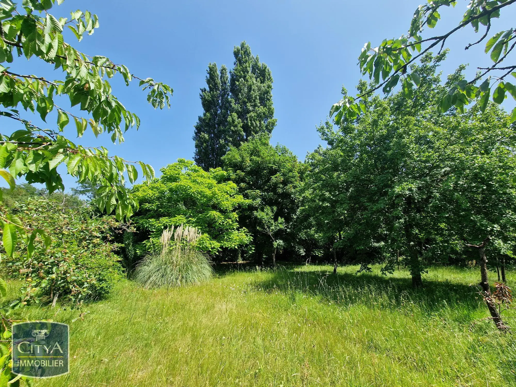 Photo 5 Maison 7 pièces 165m²