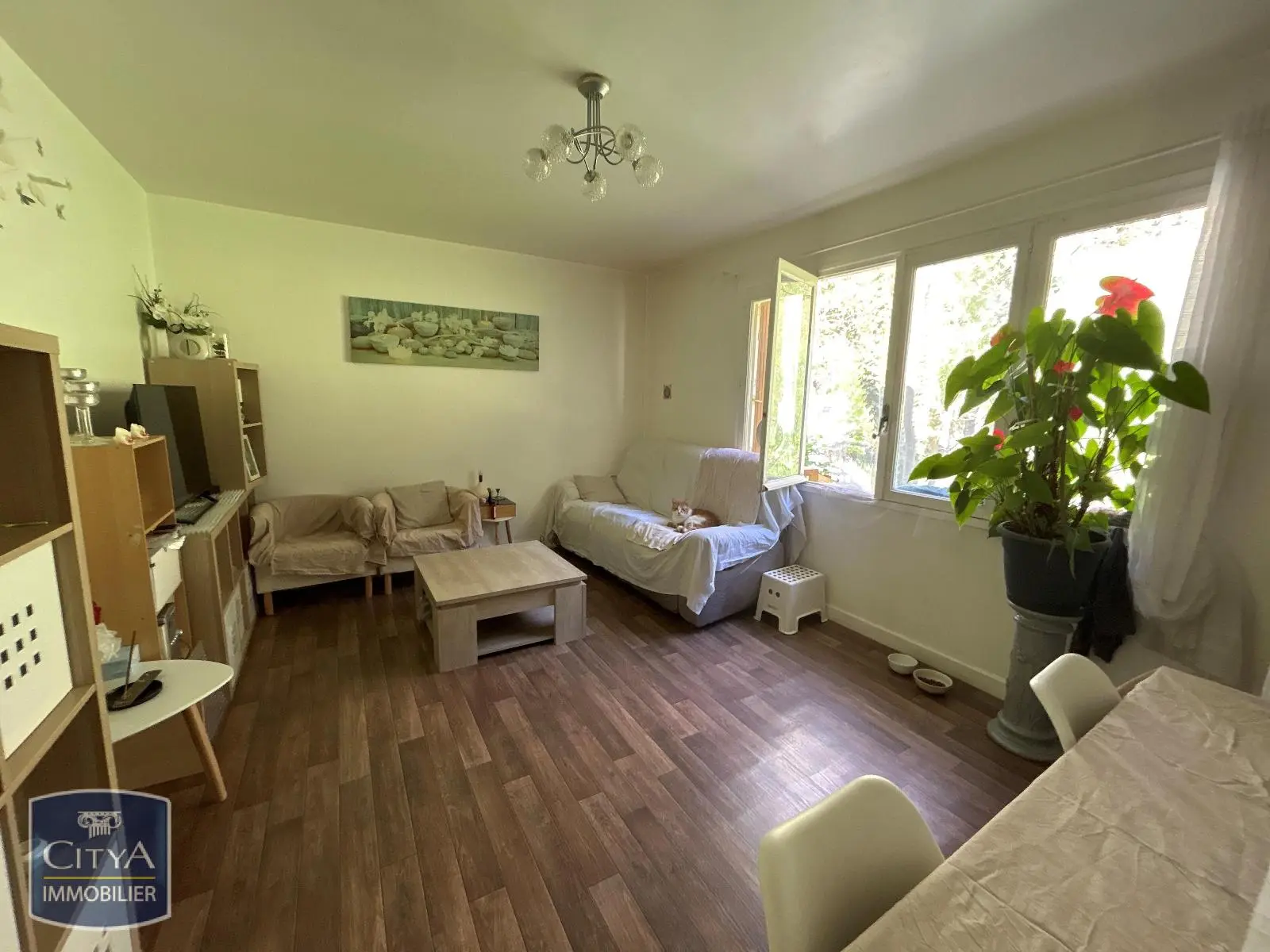 Photo 2 Appartement 2 pièces 47.3m²