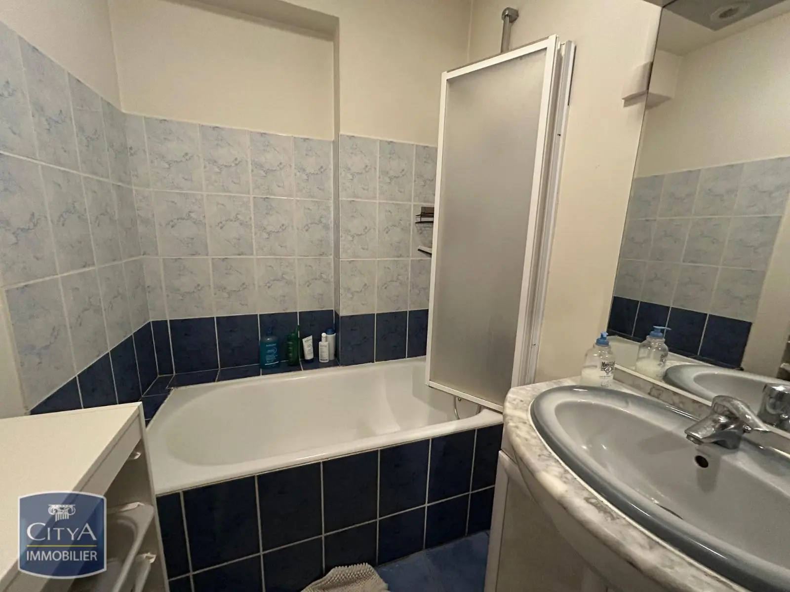 Photo 5 appartement Saint-Priest-en-Jarez