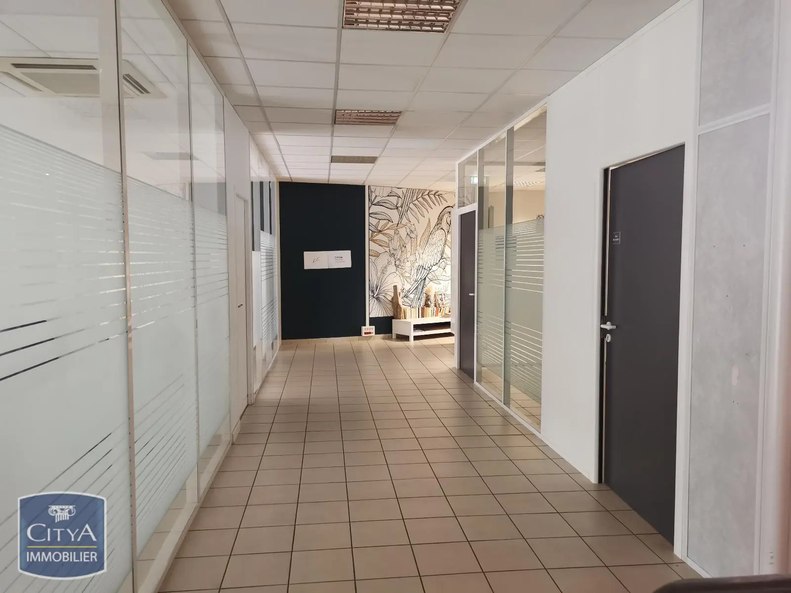 Photo 9 Local Commercial 336m²