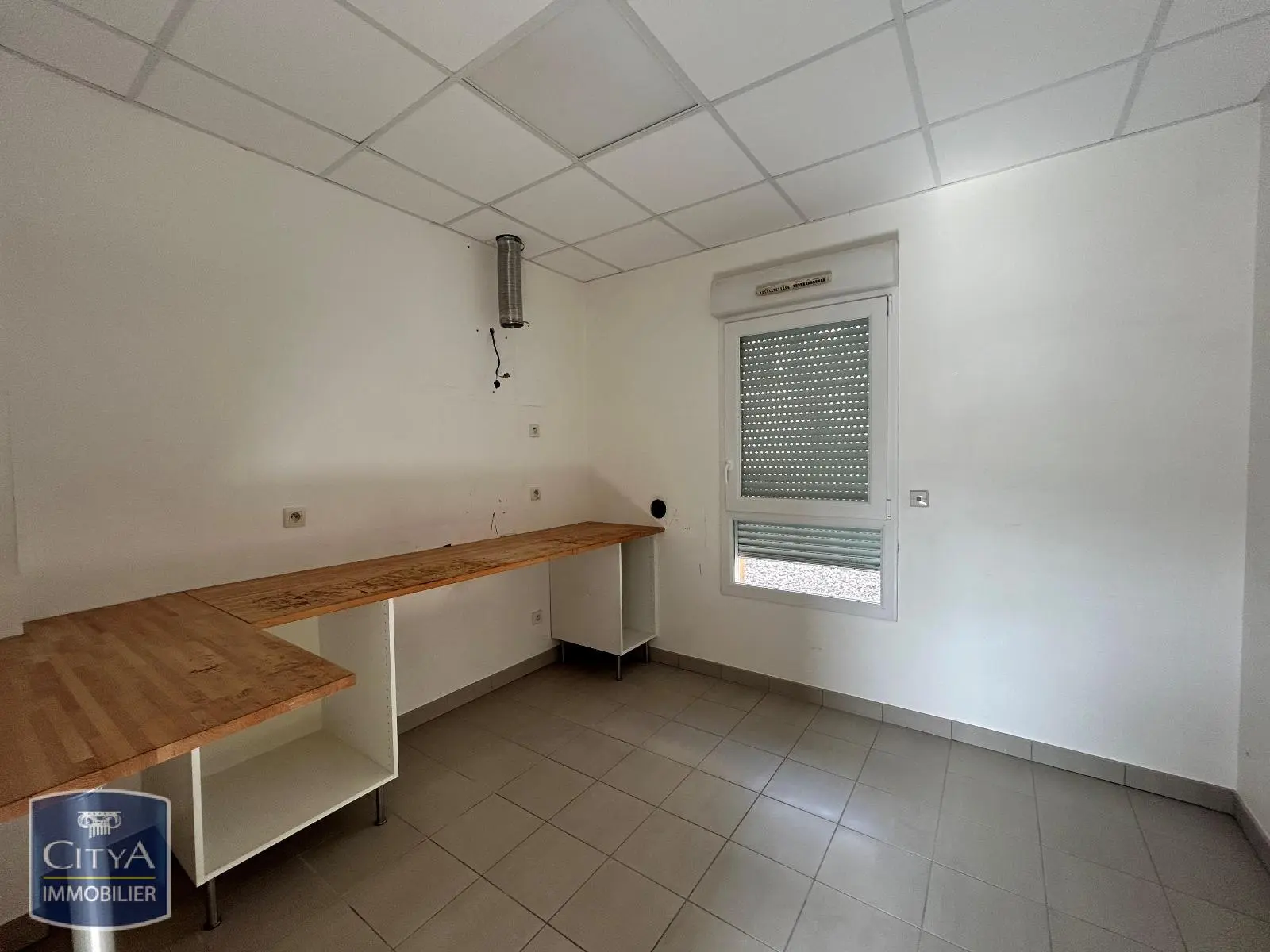 Photo 9 Local Professionnel