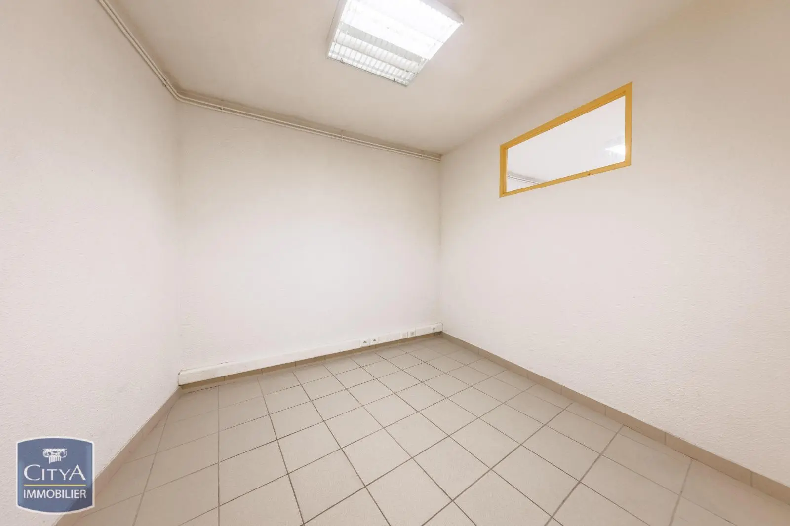 Photo 3 Local Professionnel