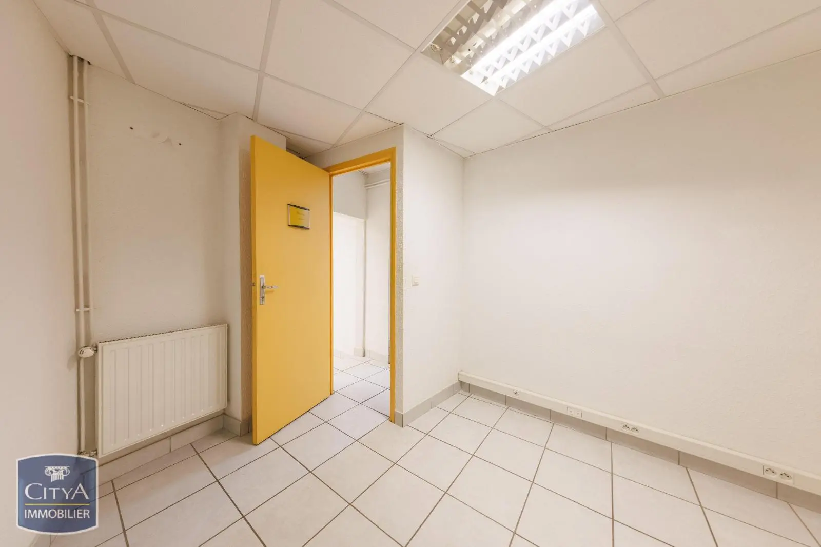 Photo 5 Local Professionnel